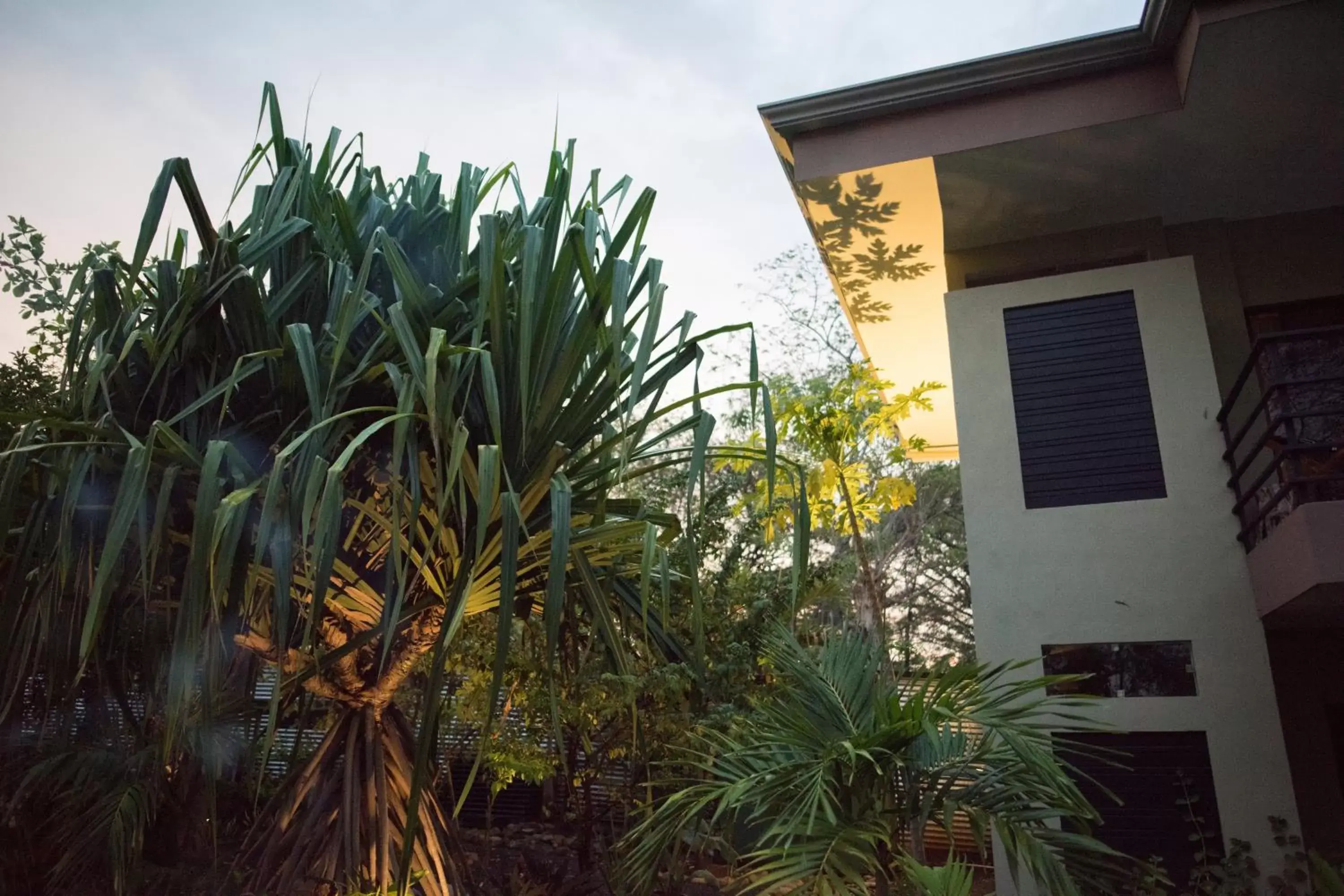 Property Building in Tamarindo Sunshine