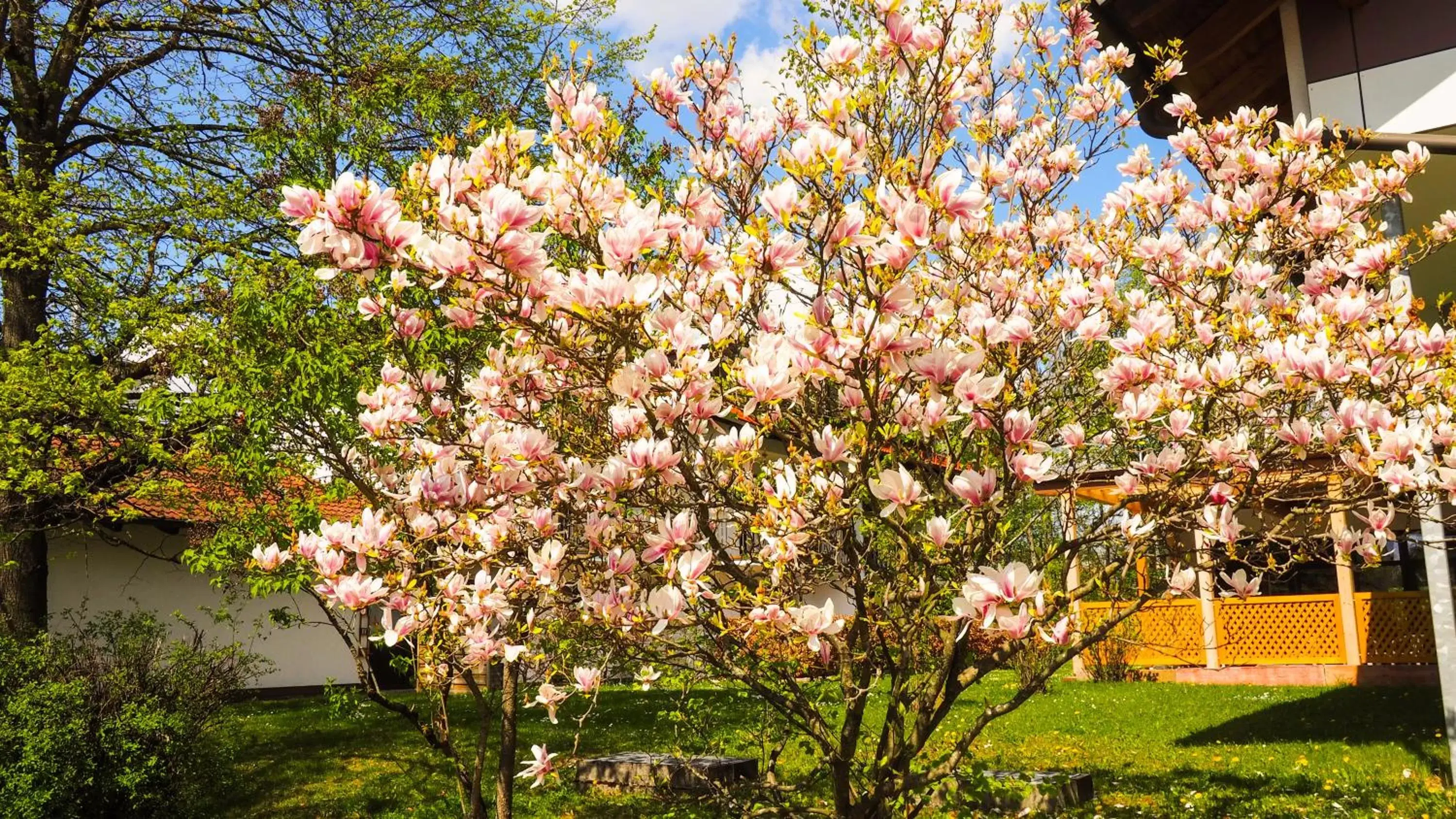 Facade/entrance in Hotel Am Moosfeld Facade/entrance in Hotel Am Moosfeld
