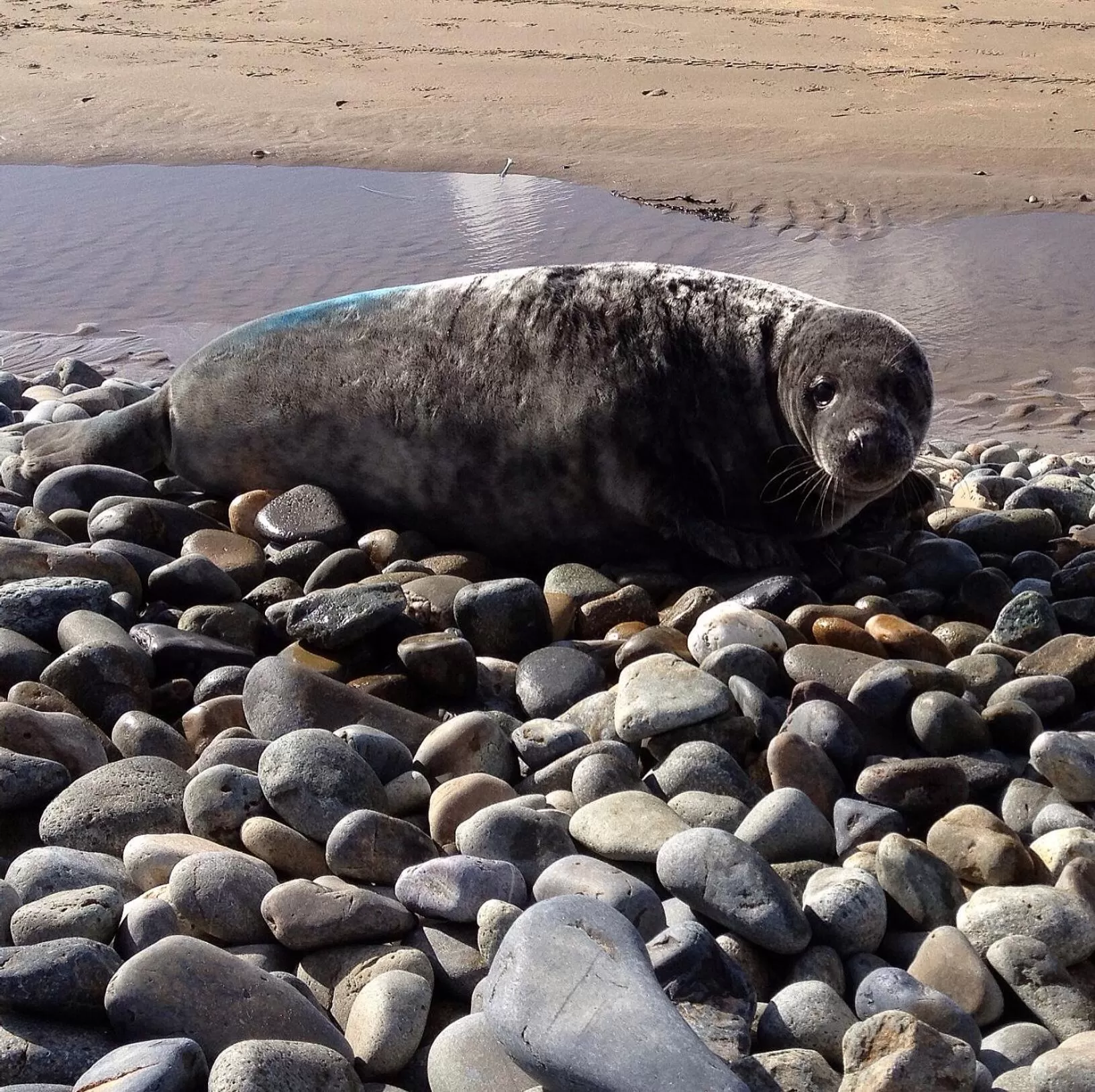 Day in Ramsey House - Luxury Licensed B&B - Parking and Guest Lounge