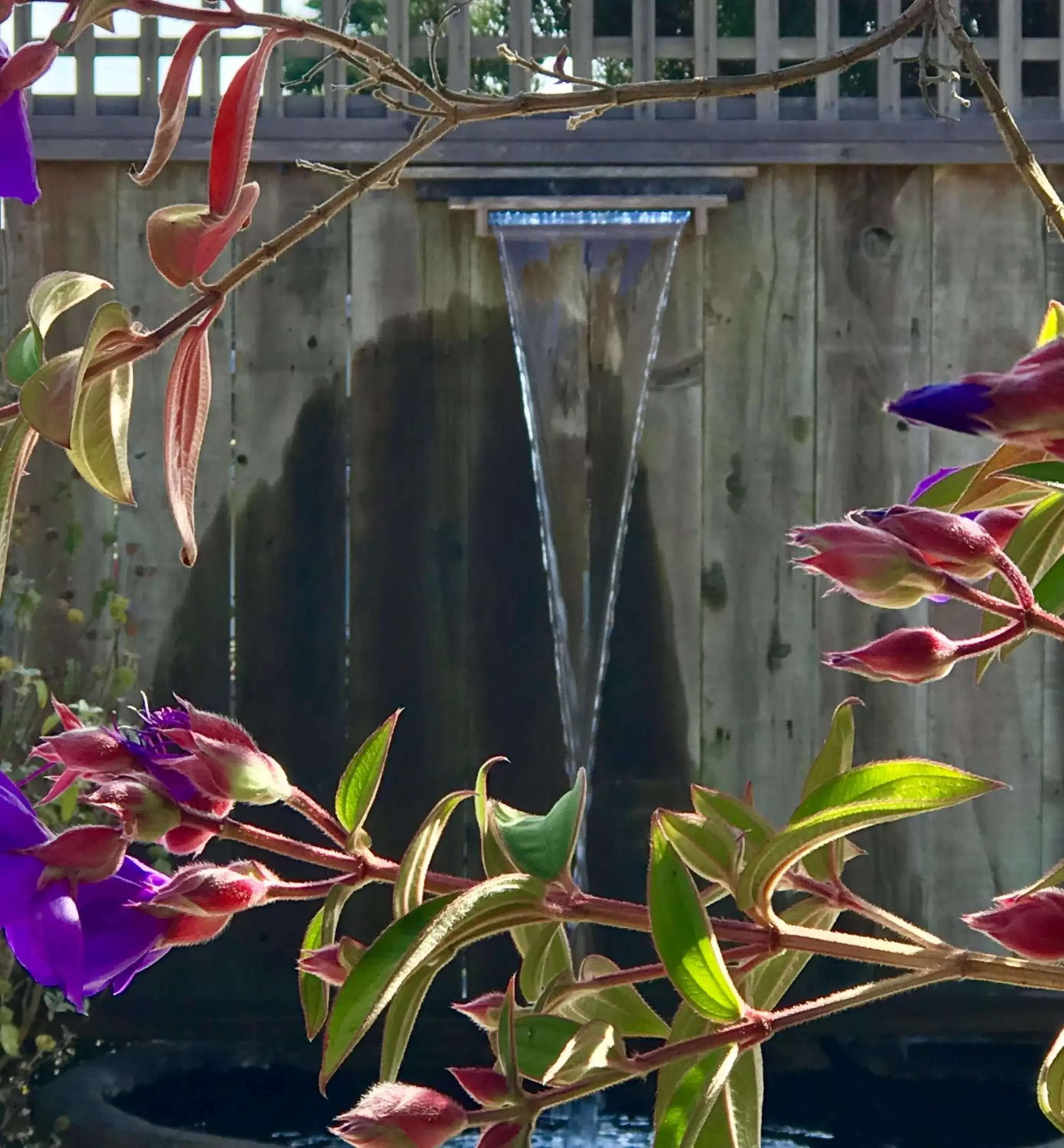 Facade/entrance in Bodega Bay Inn