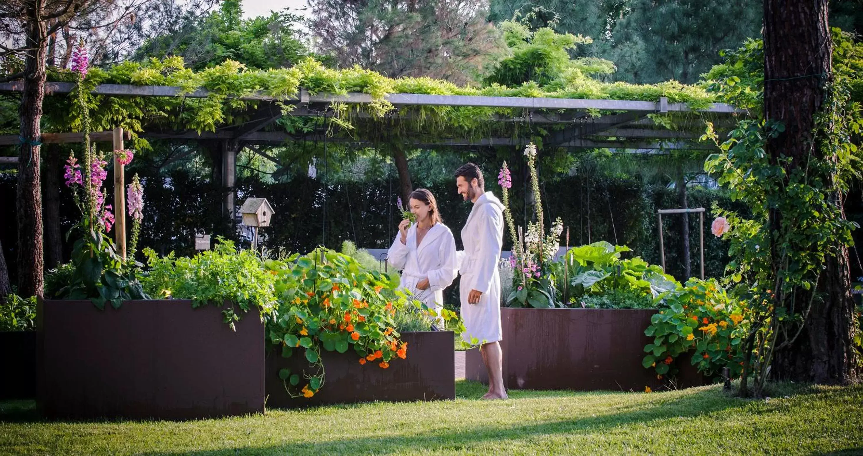 Garden in Hotel Mioni Pezzato