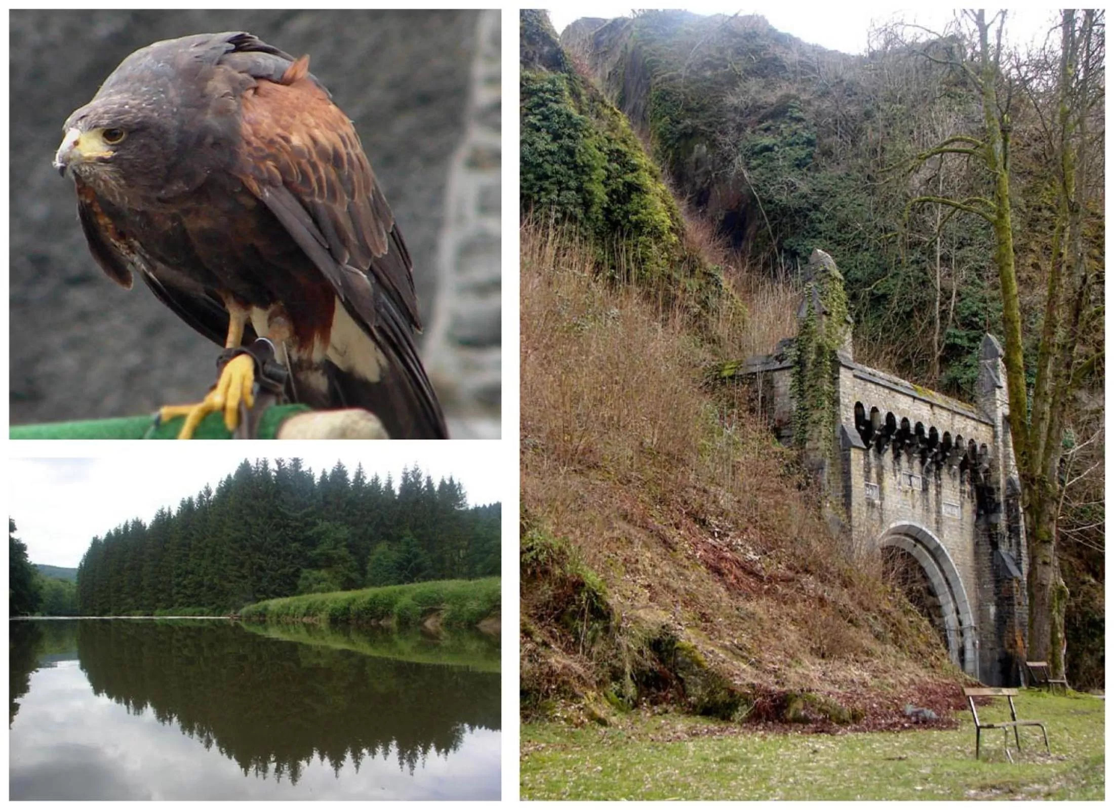 Hiking in Golden Lion