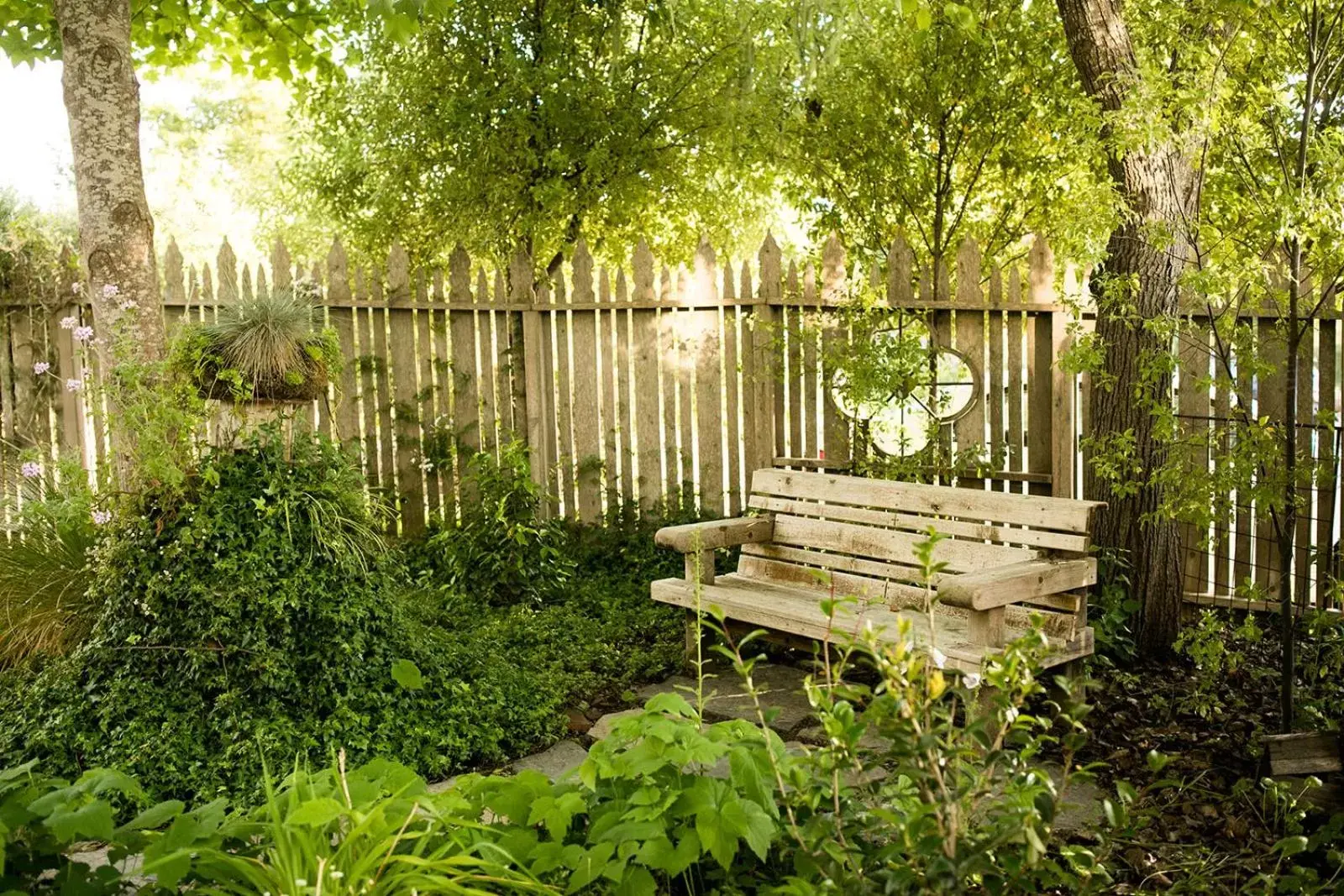 Garden in Cambria Pines Lodge