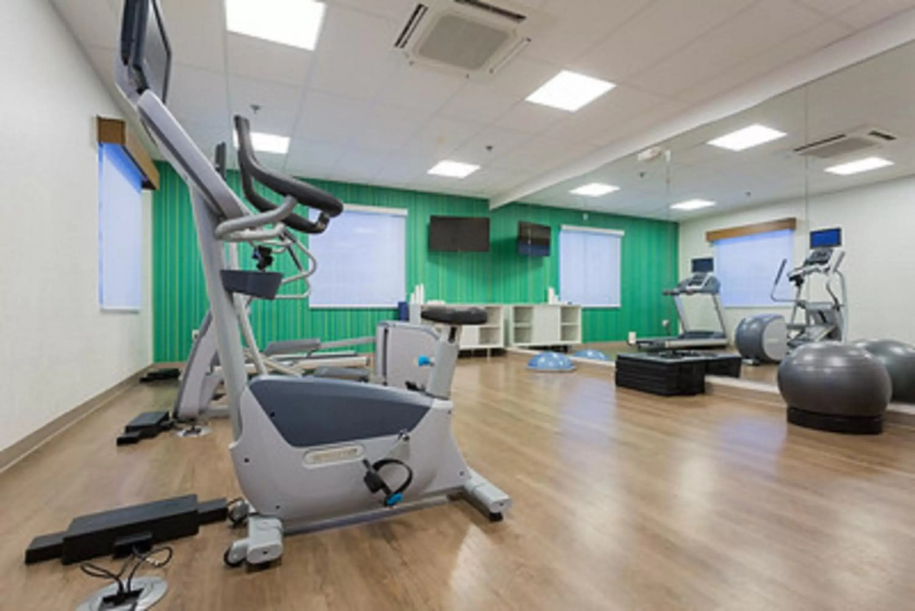 Fitness centre/facilities, Fitness Center/Facilities in Holiday Inn Express Hotel & Suites Reading, an IHG Hotel