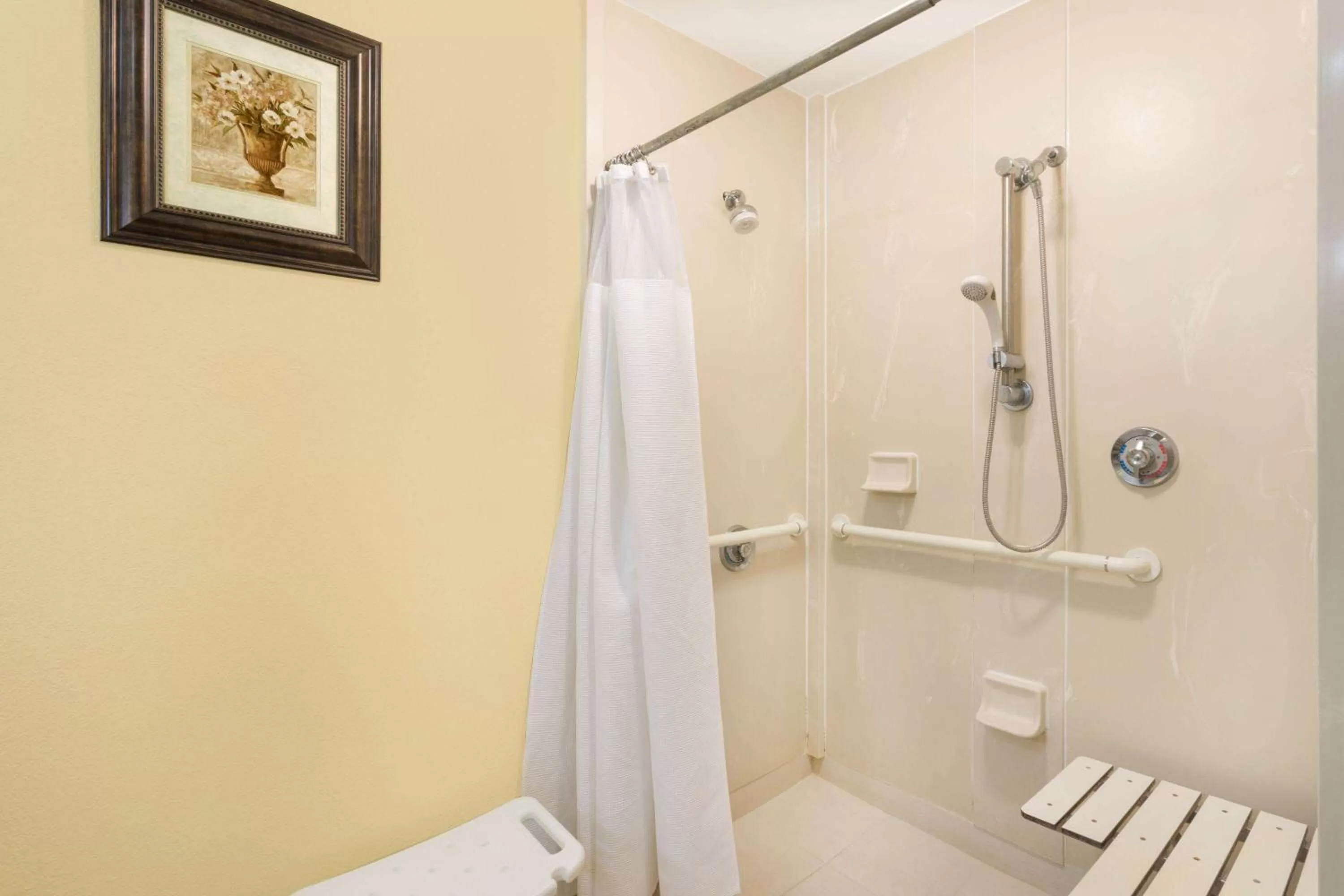 Shower in Baymont by Wyndham Savannah Midtown