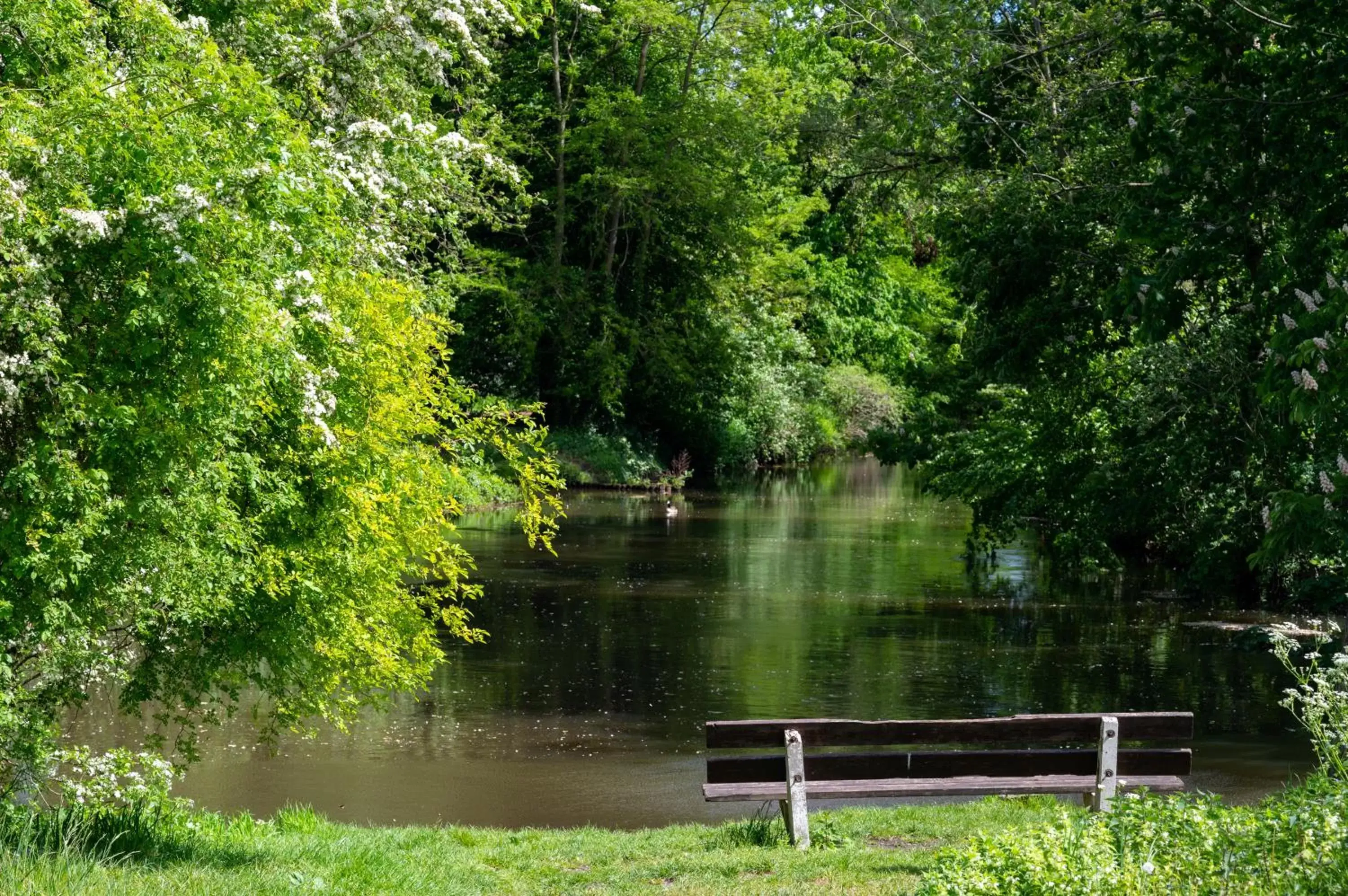 Natural landscape in Van der Valk Hotel Eindhoven