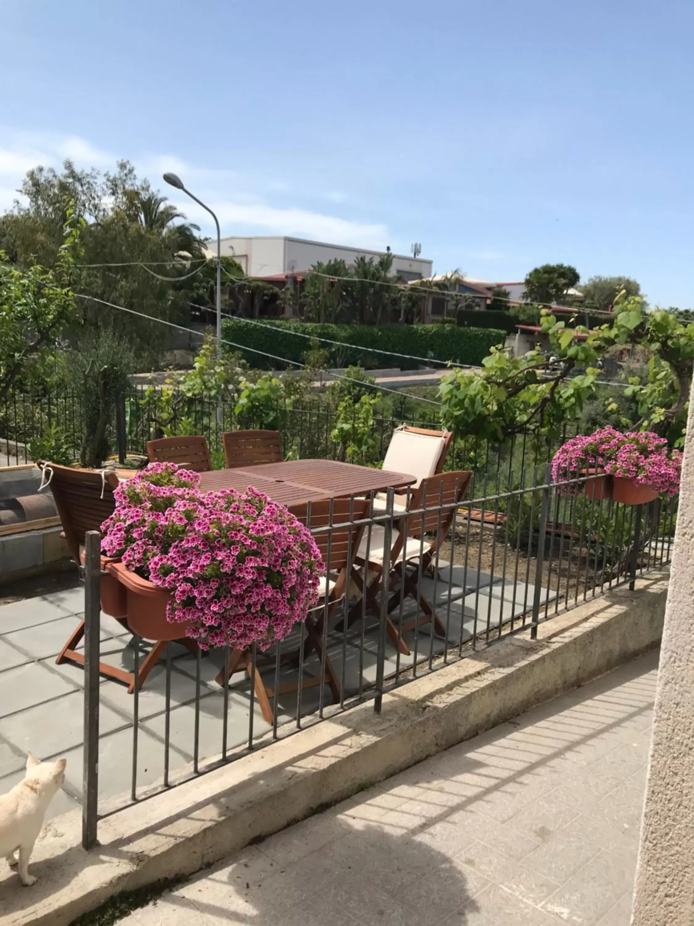 Balcony/Terrace in B&B Il Tramonto