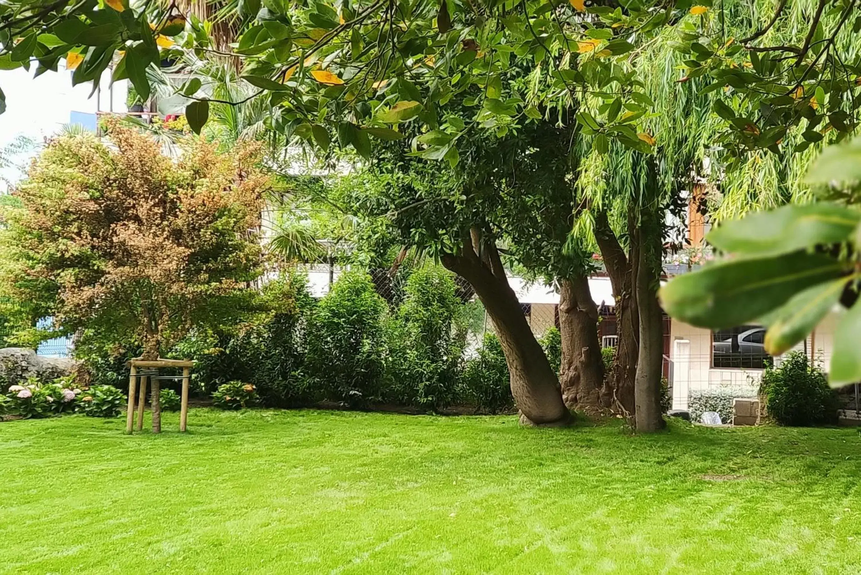 Garden in Le Petit Boutique Hotel