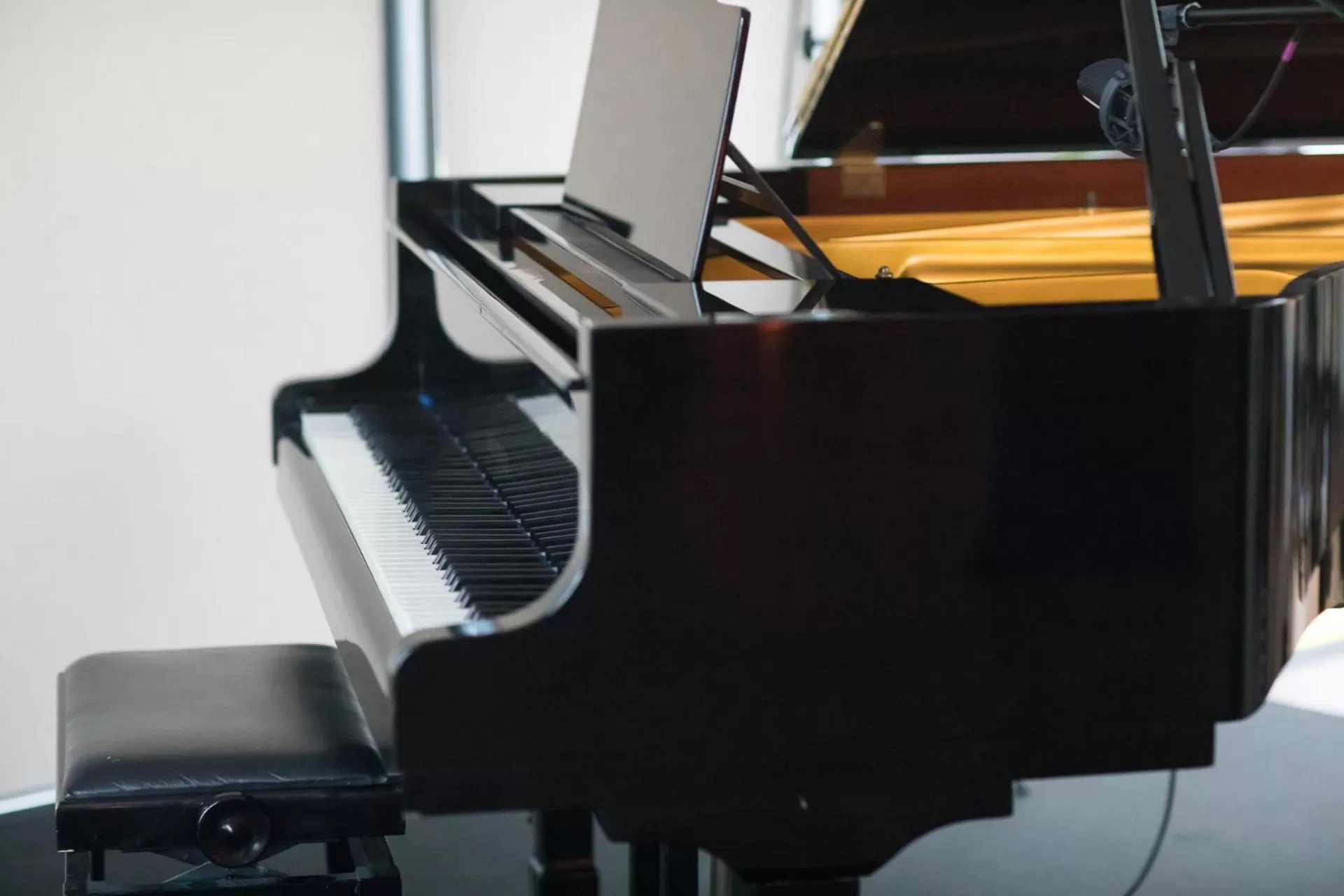 Activities in Hotel Swing