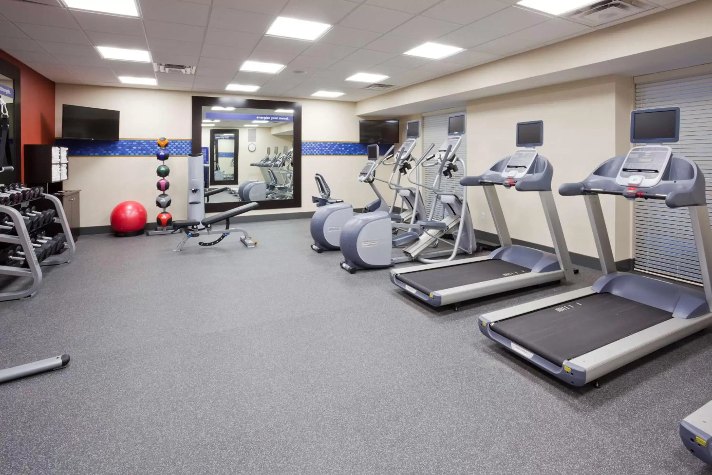 Fitness centre/facilities, Fitness Center/Facilities in Hampton Inn Minneapolis-Roseville,MN