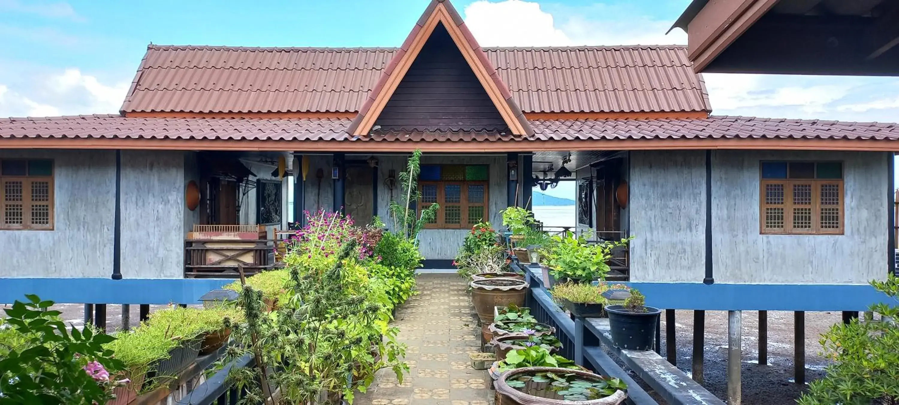 Balcony/Terrace, Property Building in The mangrove old town