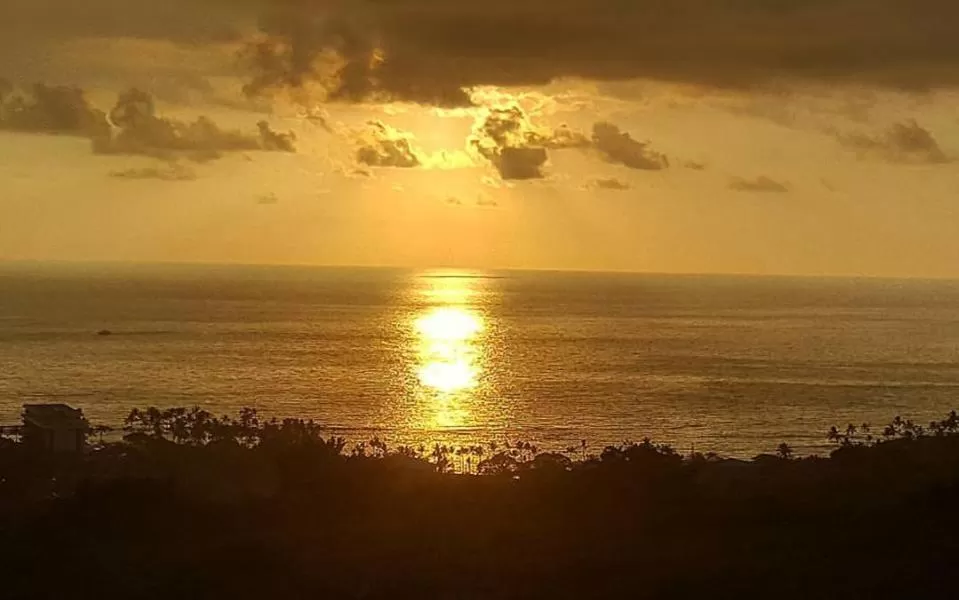 Natural landscape in Hale Hualalai