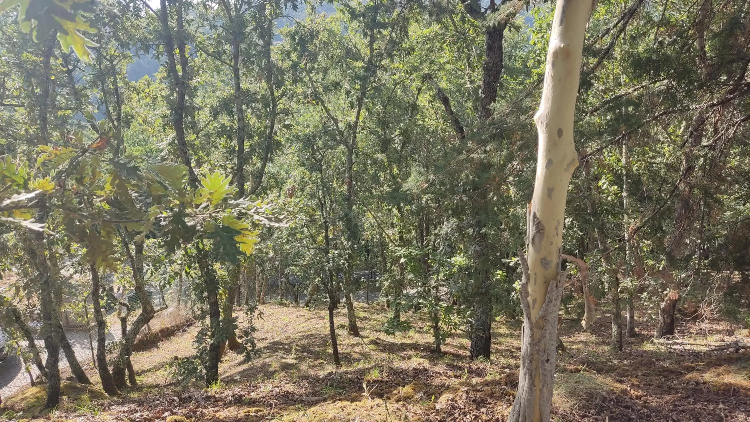 Day in Casa de Apeleiras