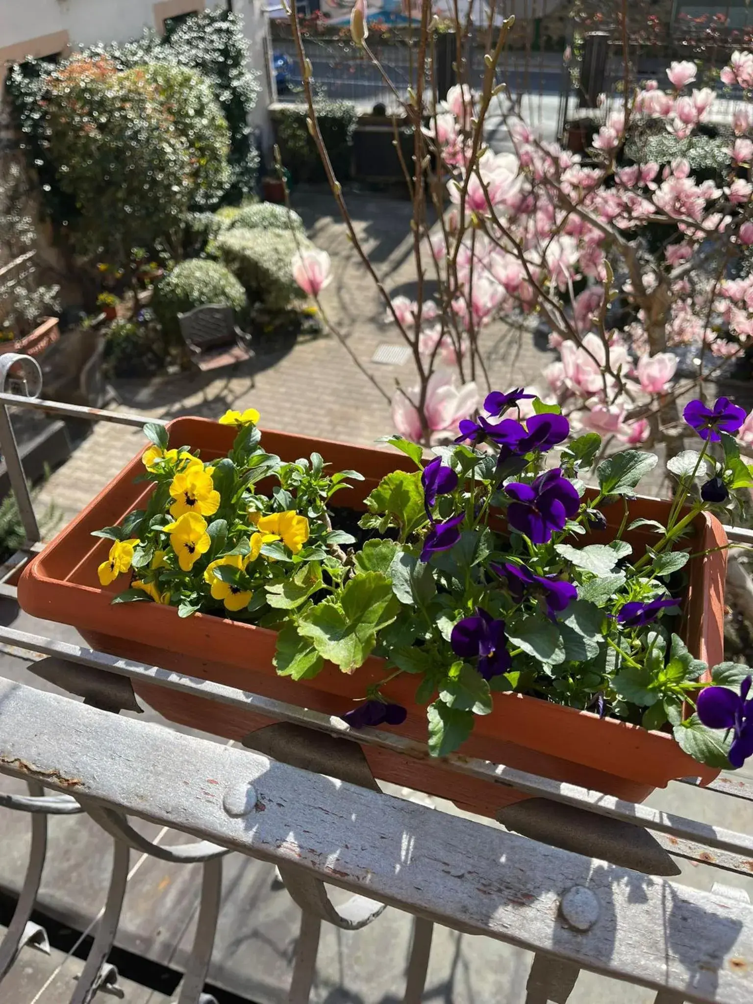 Spring in Hotel Arcobaleno Siena