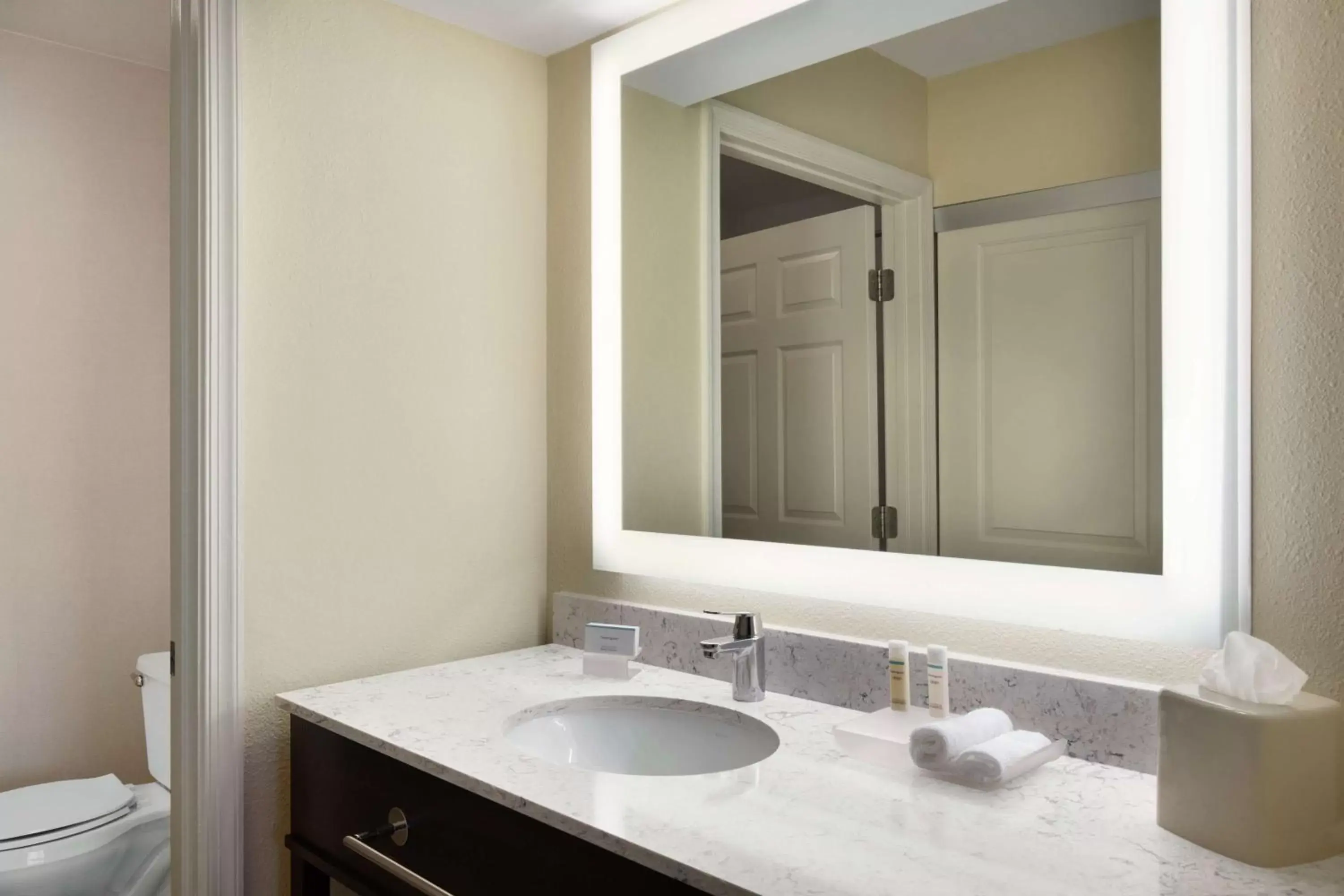 Bathroom in Homewood Suites by Hilton St. Petersburg Clearwater