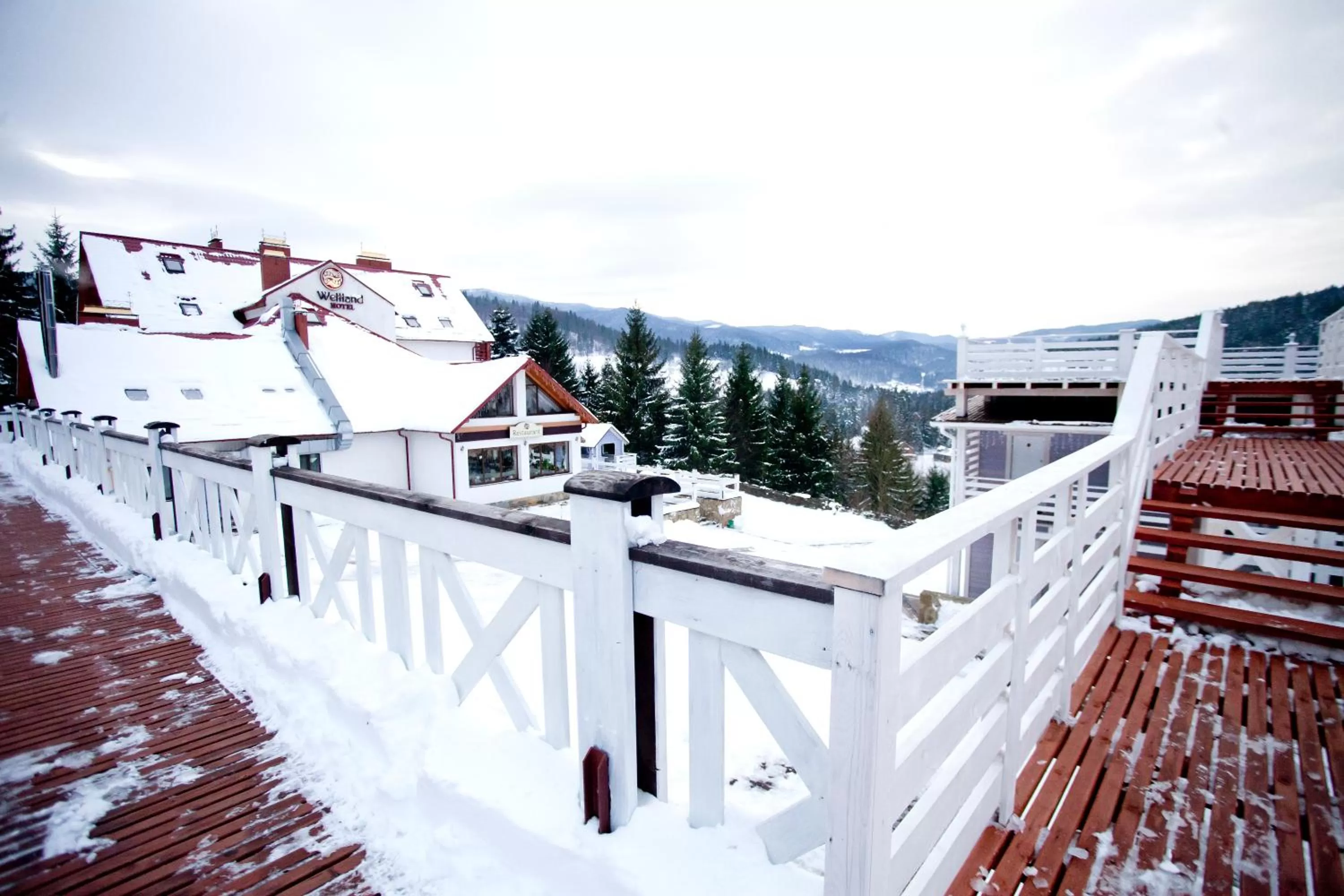 Other, Winter in Wellland Hotel