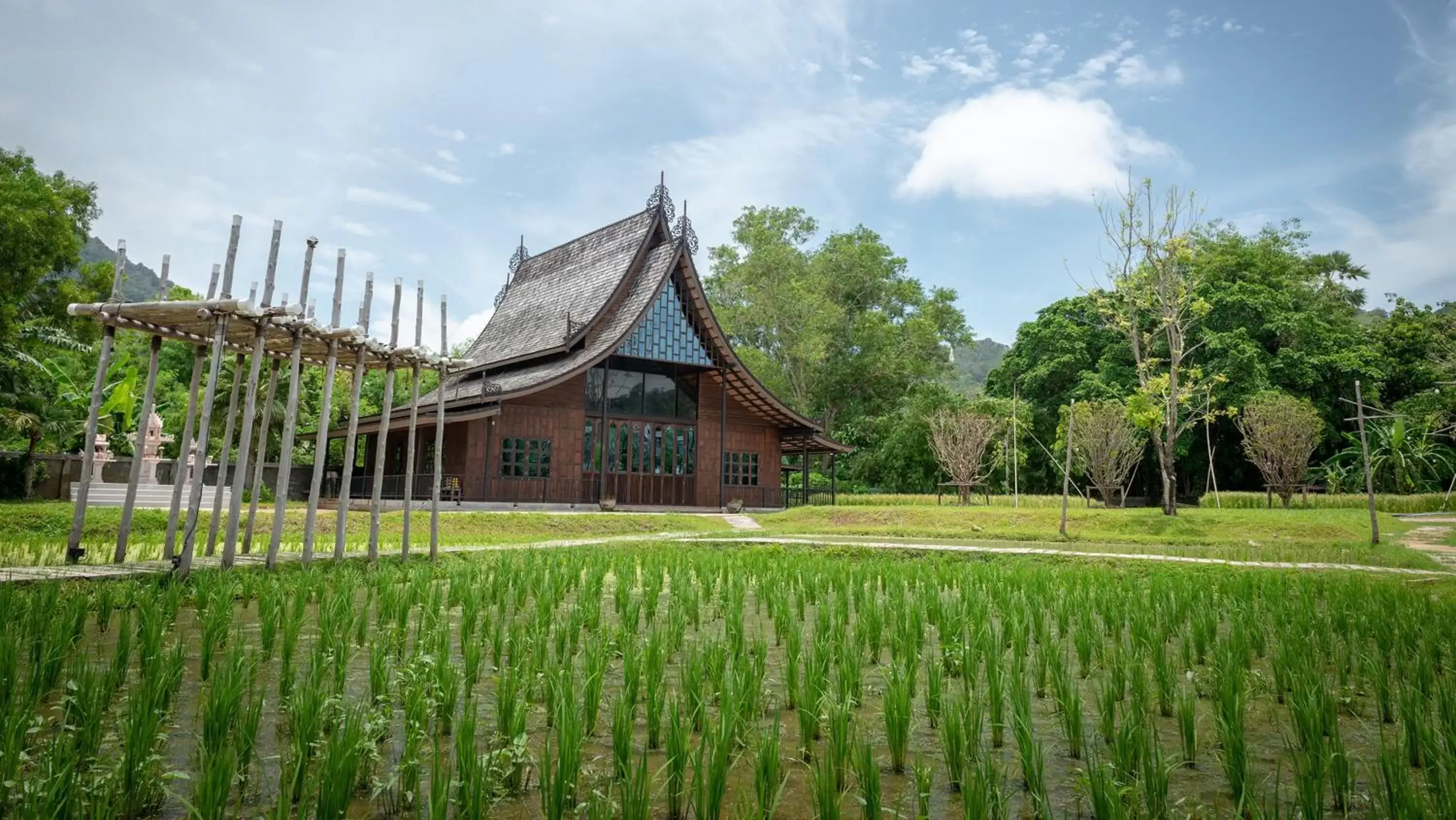 Area and facilities, Property Building in Hotel Indigo Phuket Patong, an IHG Hotel