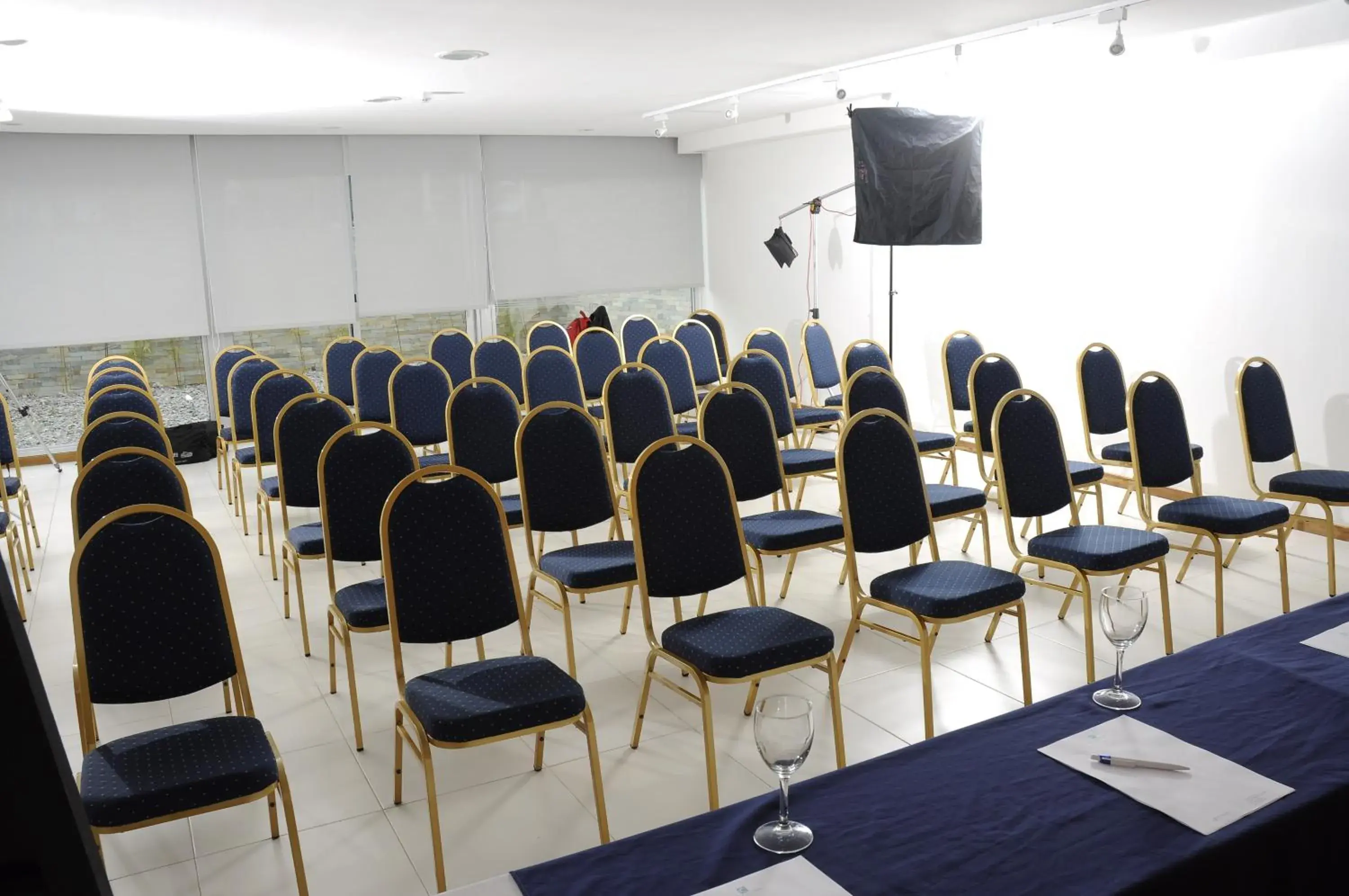 Business facilities in Real Colonia Hotel & Suites