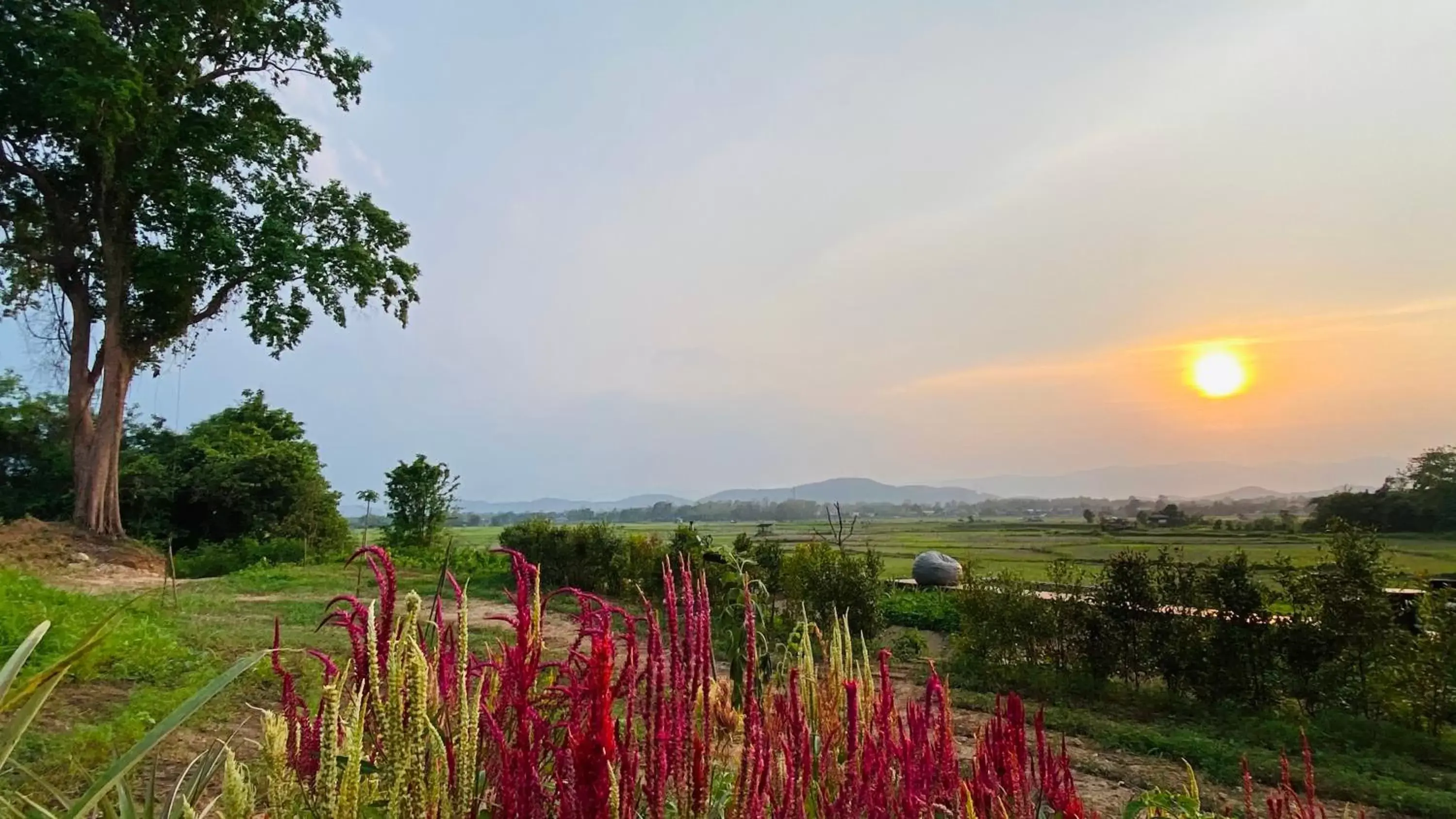 View (from property/room) in Nan Seasons Boutique Resort