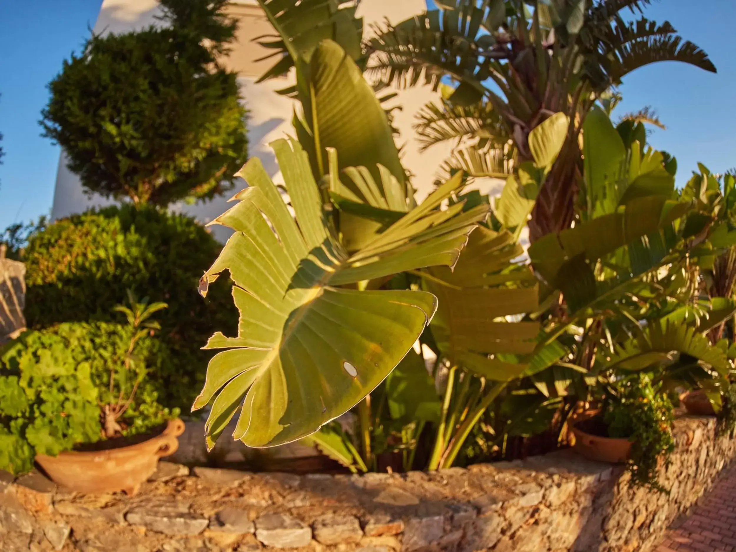 Garden in Creta Blue Boutique Hotel