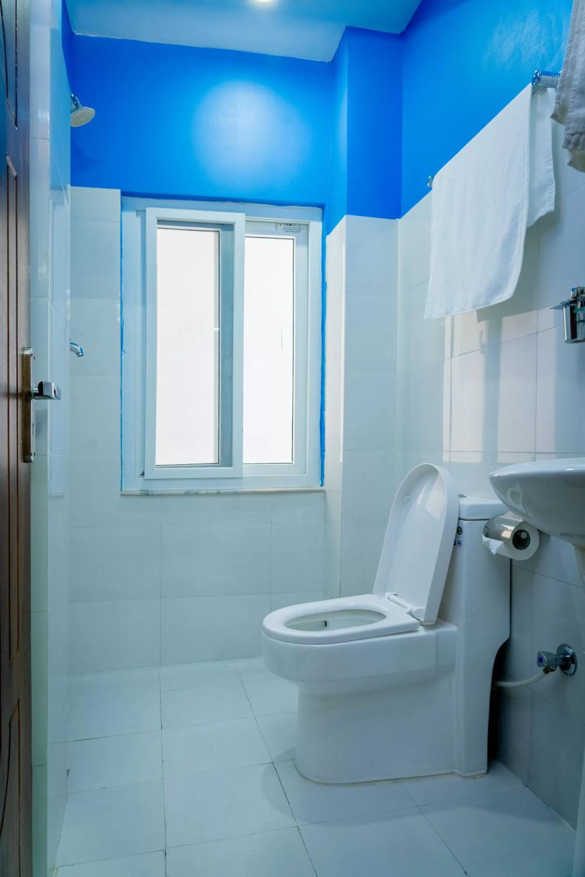 Toilet in Hotel Nepal Bhumi