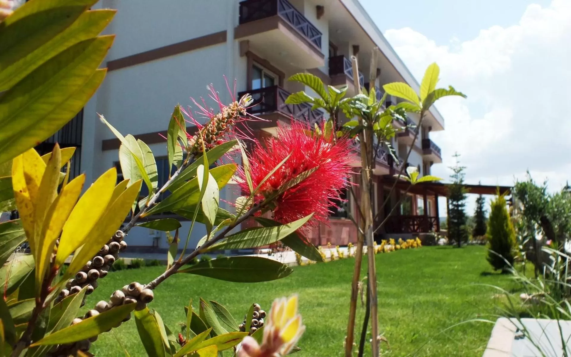 Garden in Helen Troya Hotel Geyikli