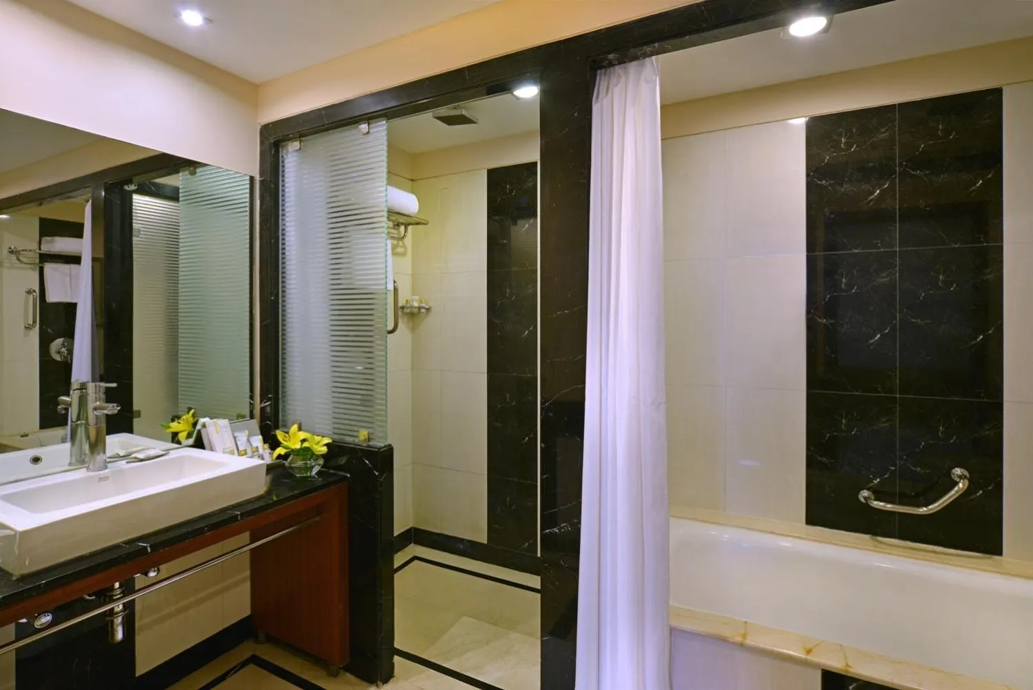 Shower in Best Western Plus Jalandhar