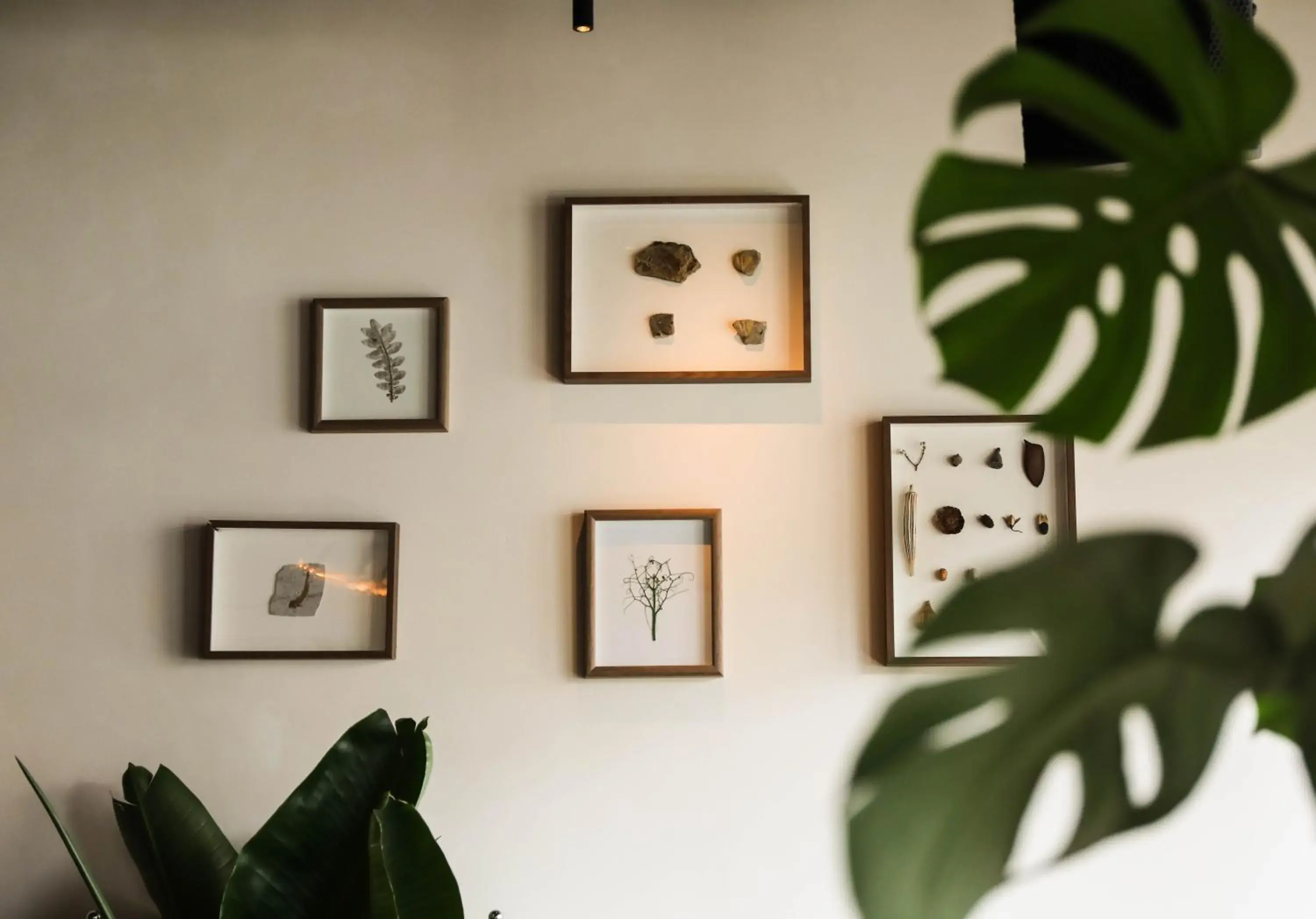 Lounge or bar in SONDERIA Lazybones Hostel- Wenshu Temple Side, Chill Hostel with All-Day Brunch, Travel Agency in English & Local Bar Vibes Lounge or bar in SONDERIA Lazybones Hostel- Wenshu Temple Side, Chill Hostel with All-Day Brunch, Travel Agency in English & Local Bar Vibes