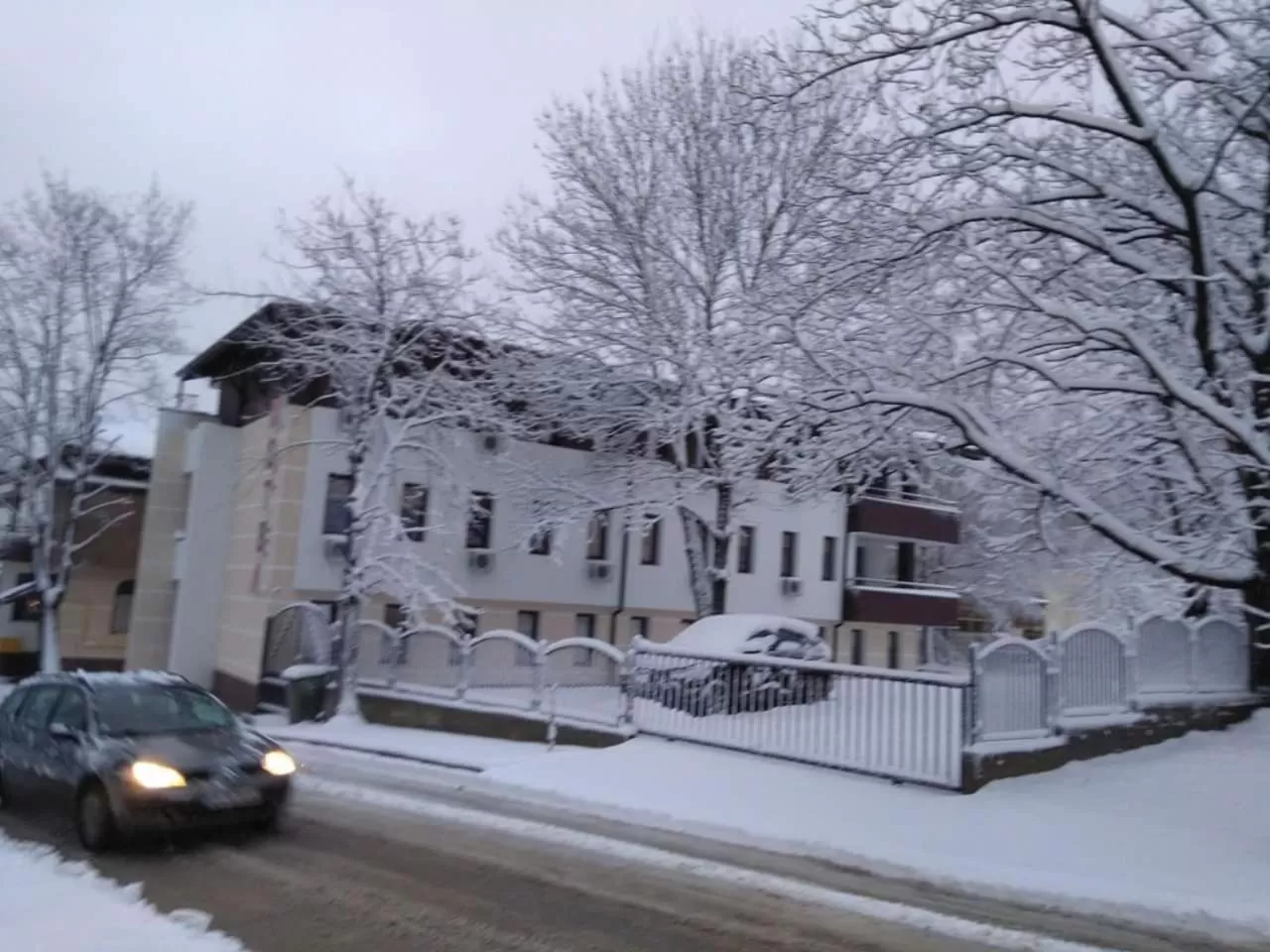 Winter in Complex Friends