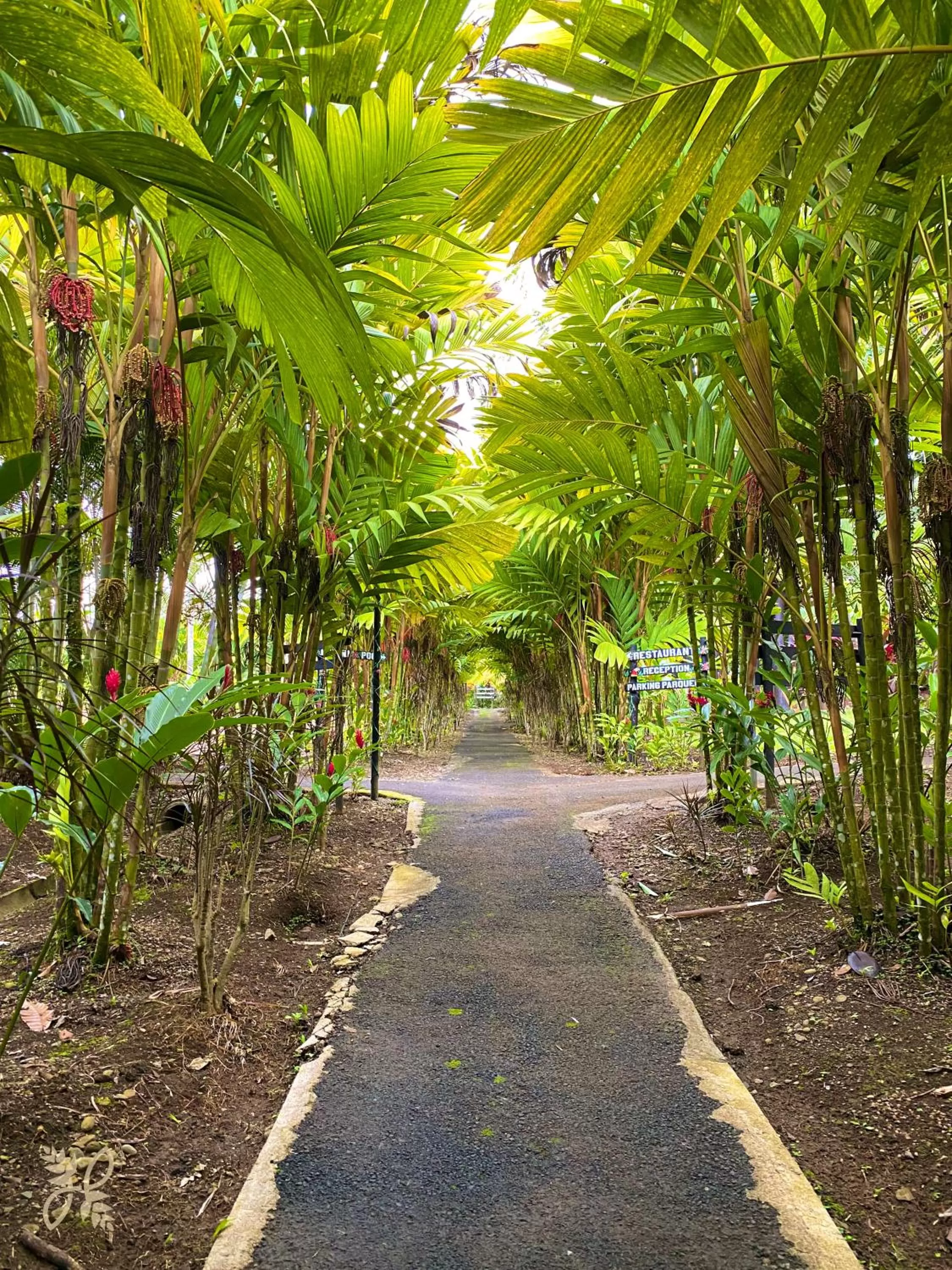 Hiking in Hotel Heliconias Nature Inn & Hot Springs