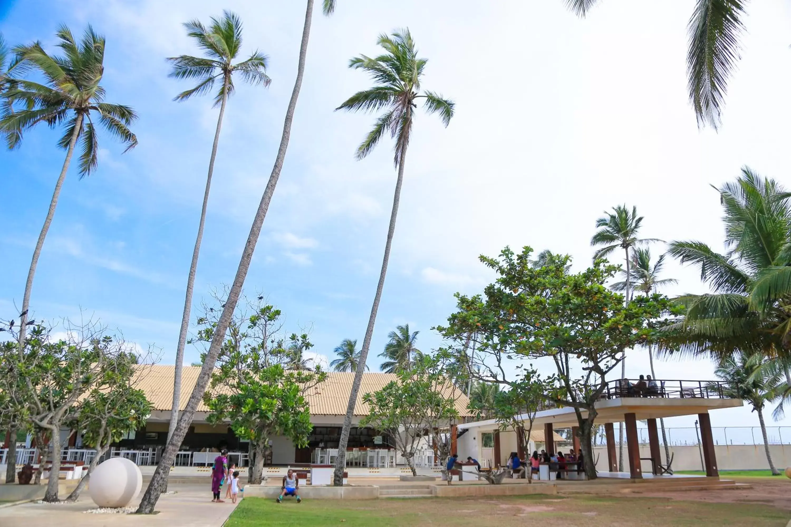 Garden in Pegasus Reef Hotel