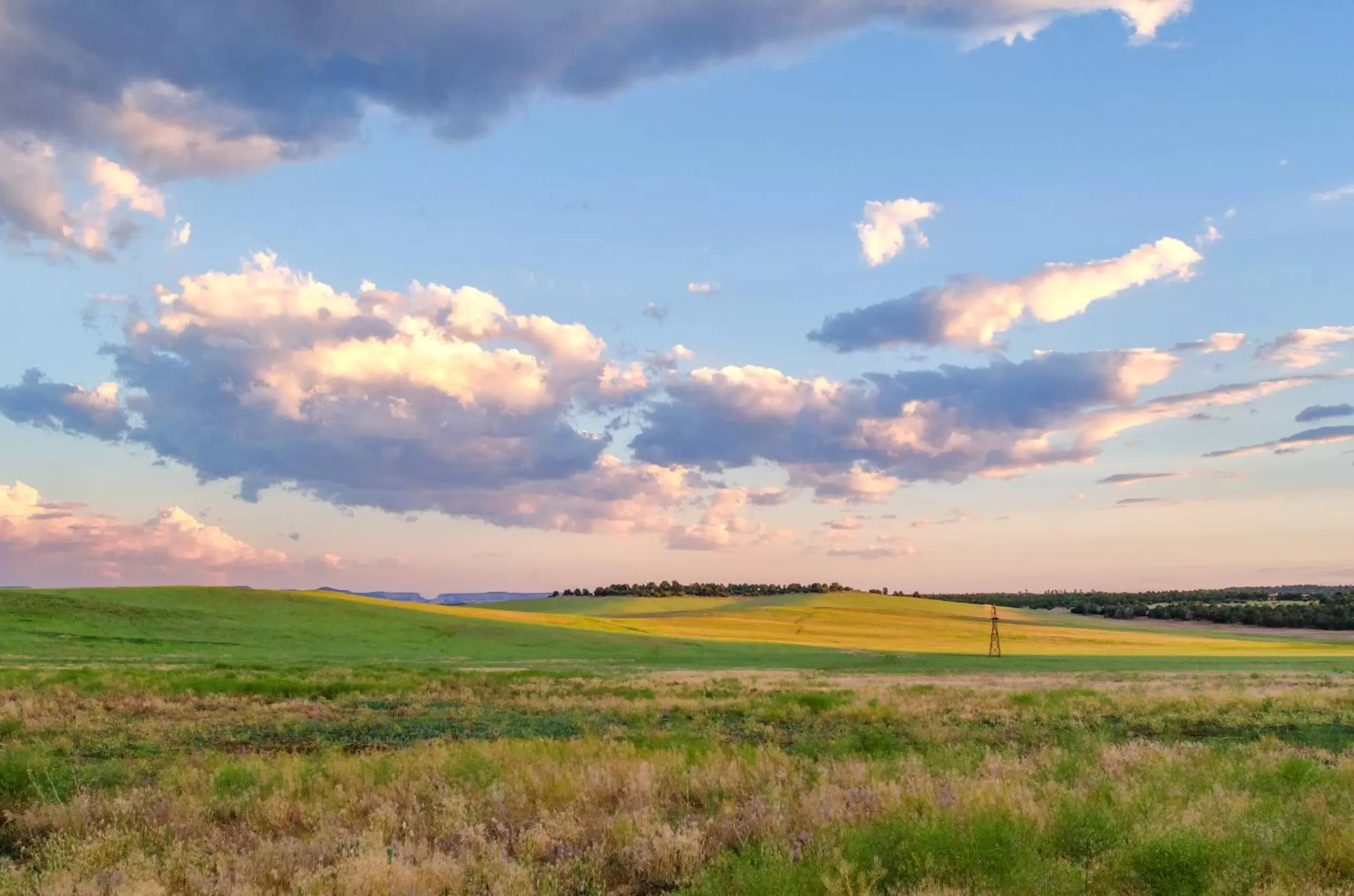 Natural landscape in Zion Mountain Ranch
