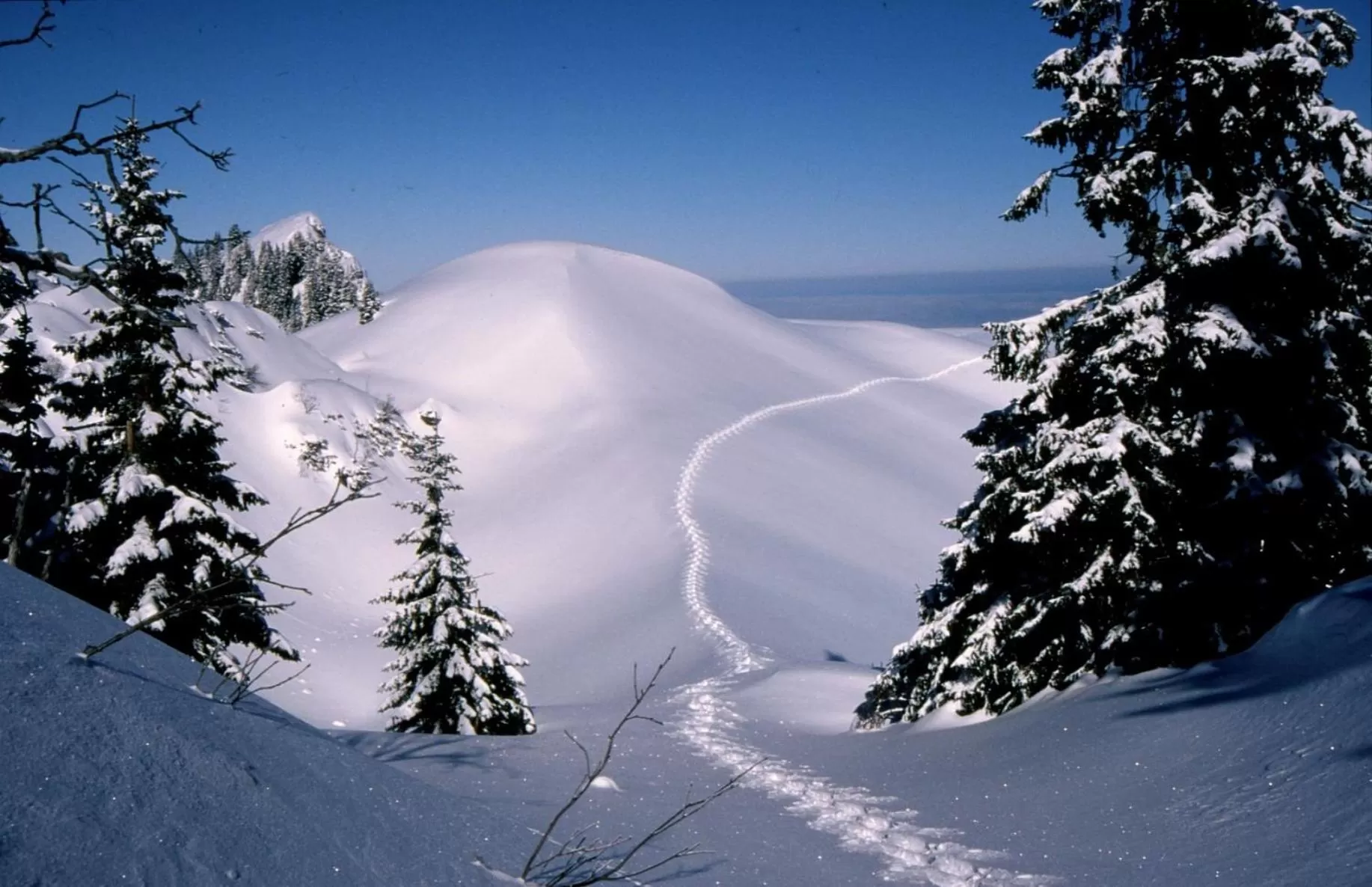 Natural landscape in Landgasthof Zur Post