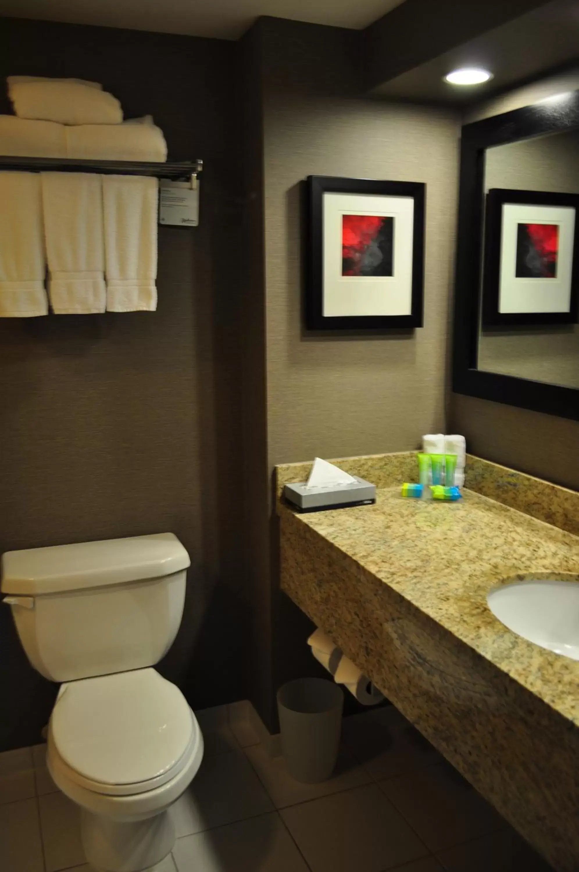 Bathroom in Radisson Hotel Vancouver Airport