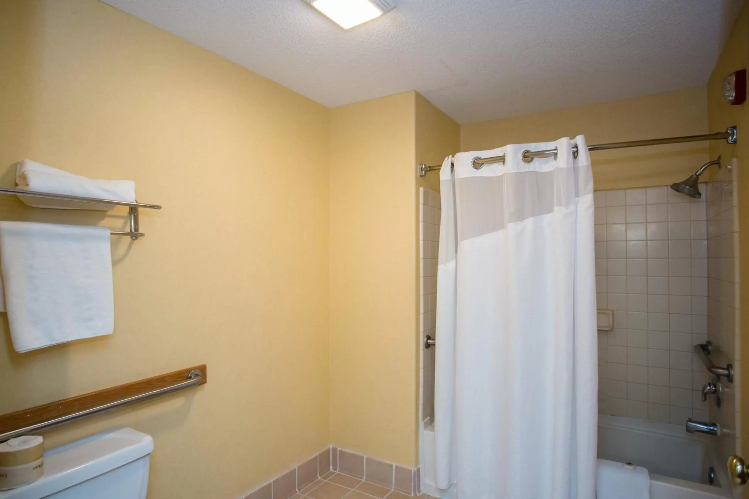 Bathroom in Vagabond Inn Executive
