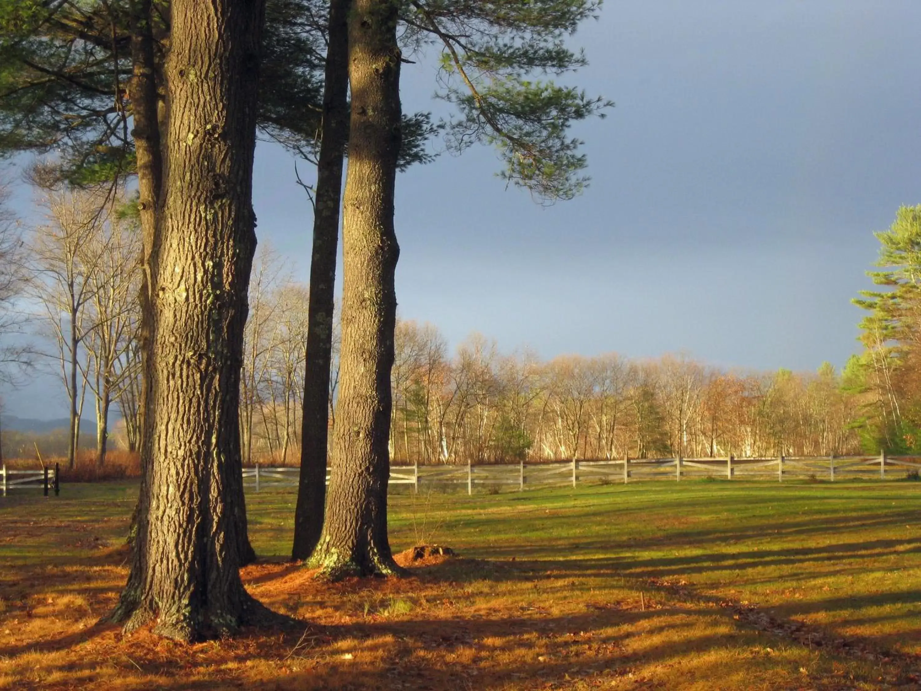 Garden view in Old Saco Inn