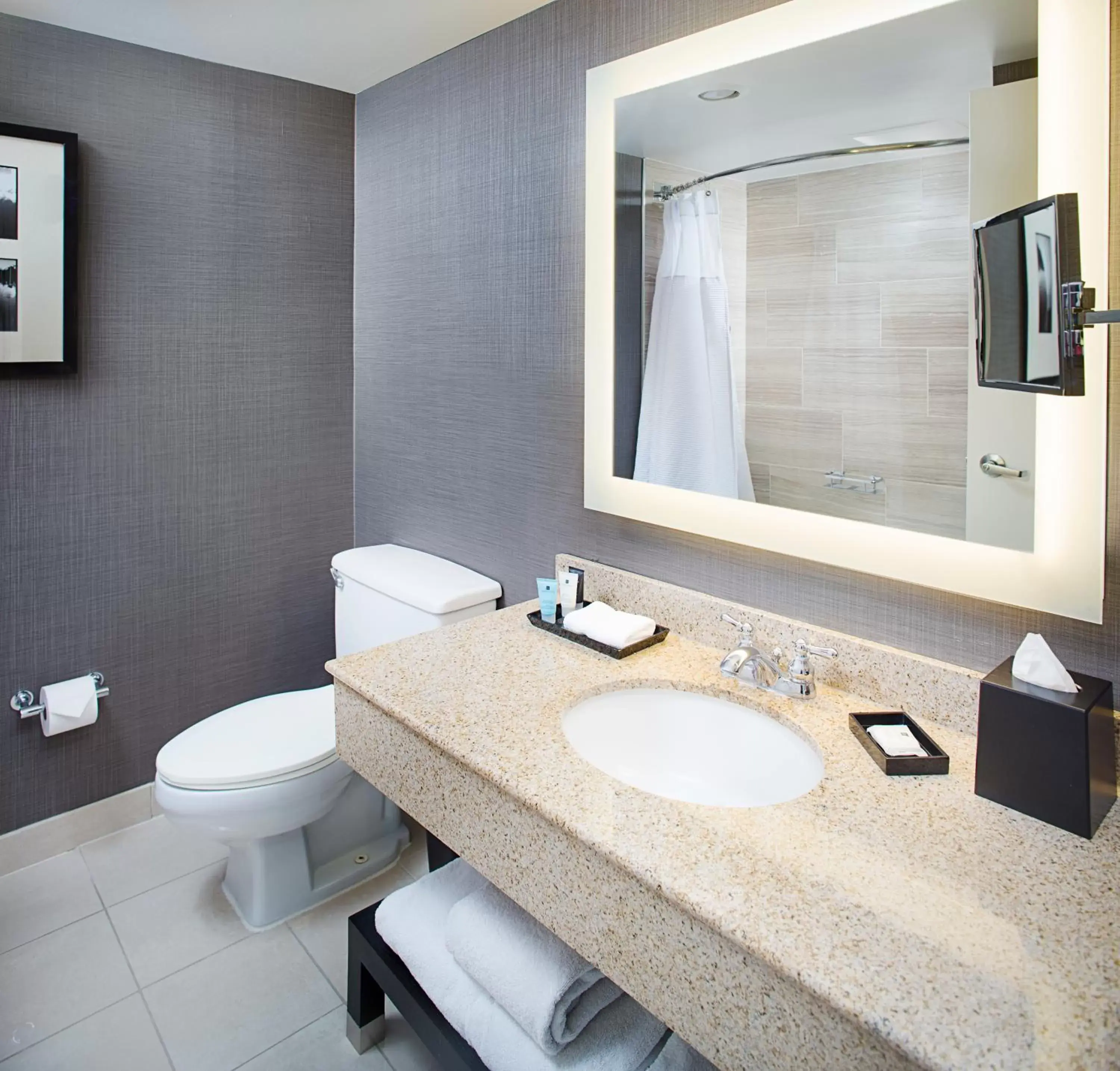 Bathroom in Crowne Plaza Annapolis, an IHG Hotel