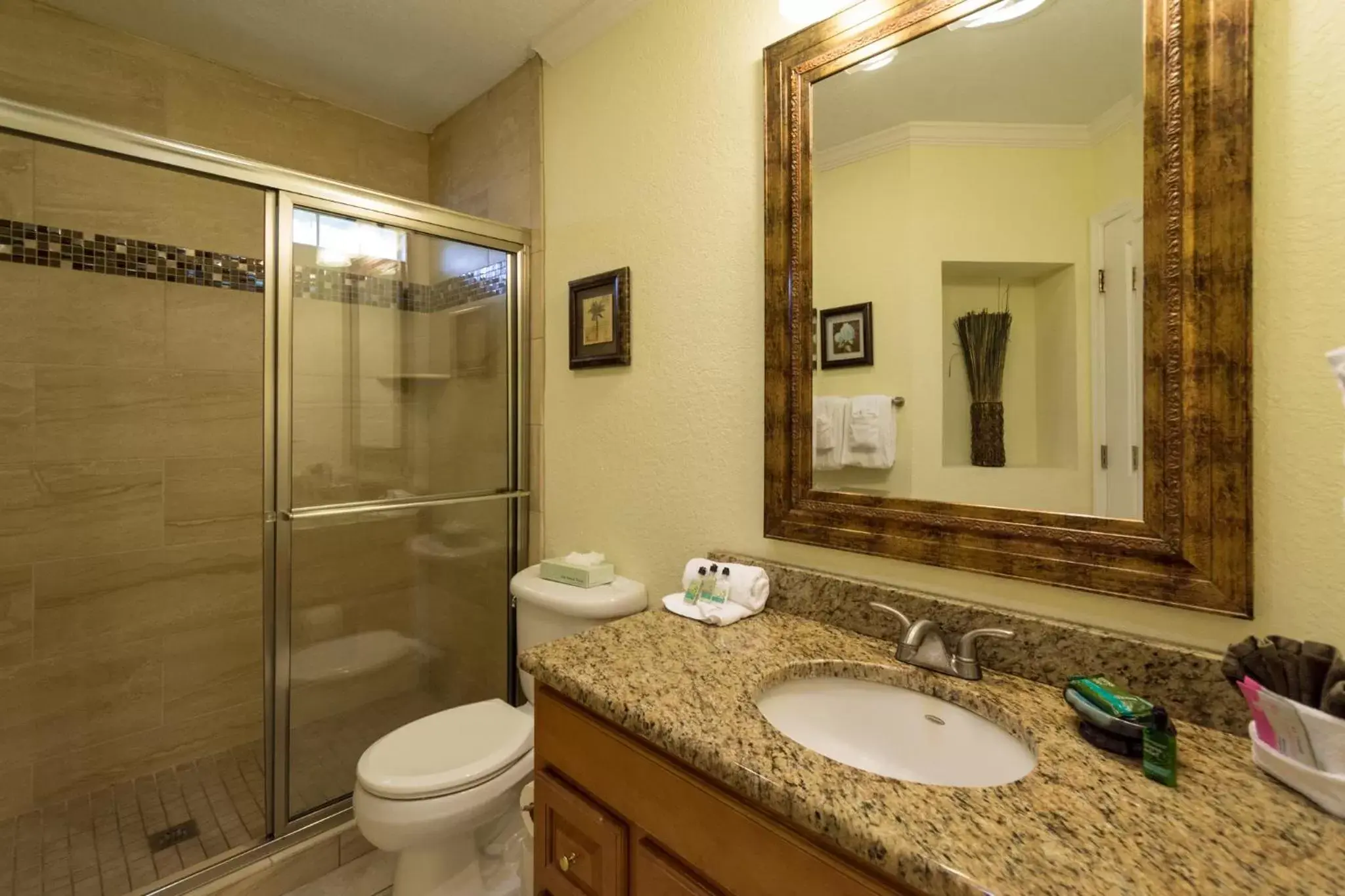 Shower, Bathroom in Tropical Beach Resorts - Sarasota