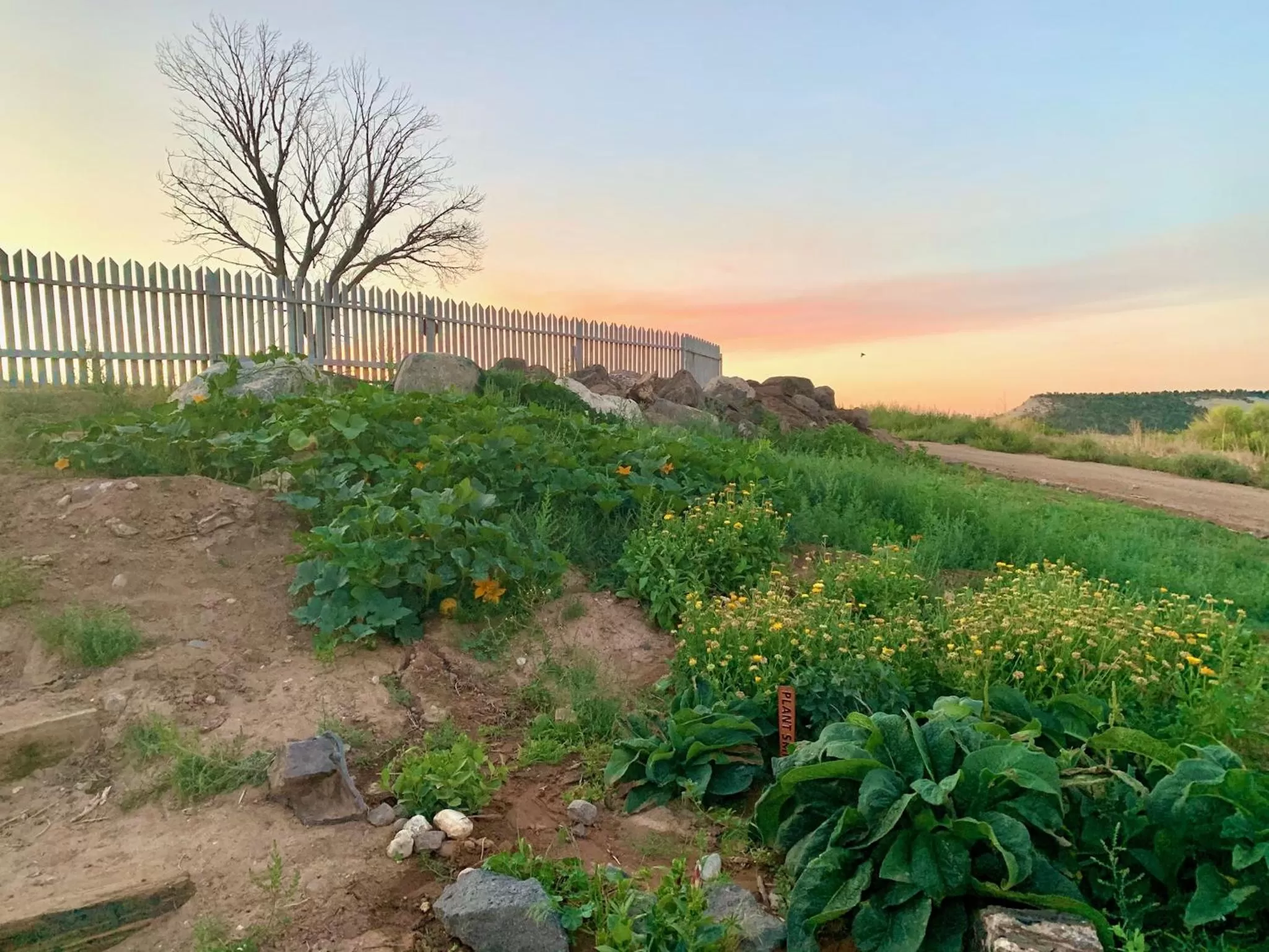 Property building in Annie's Place Bed & Breakfast