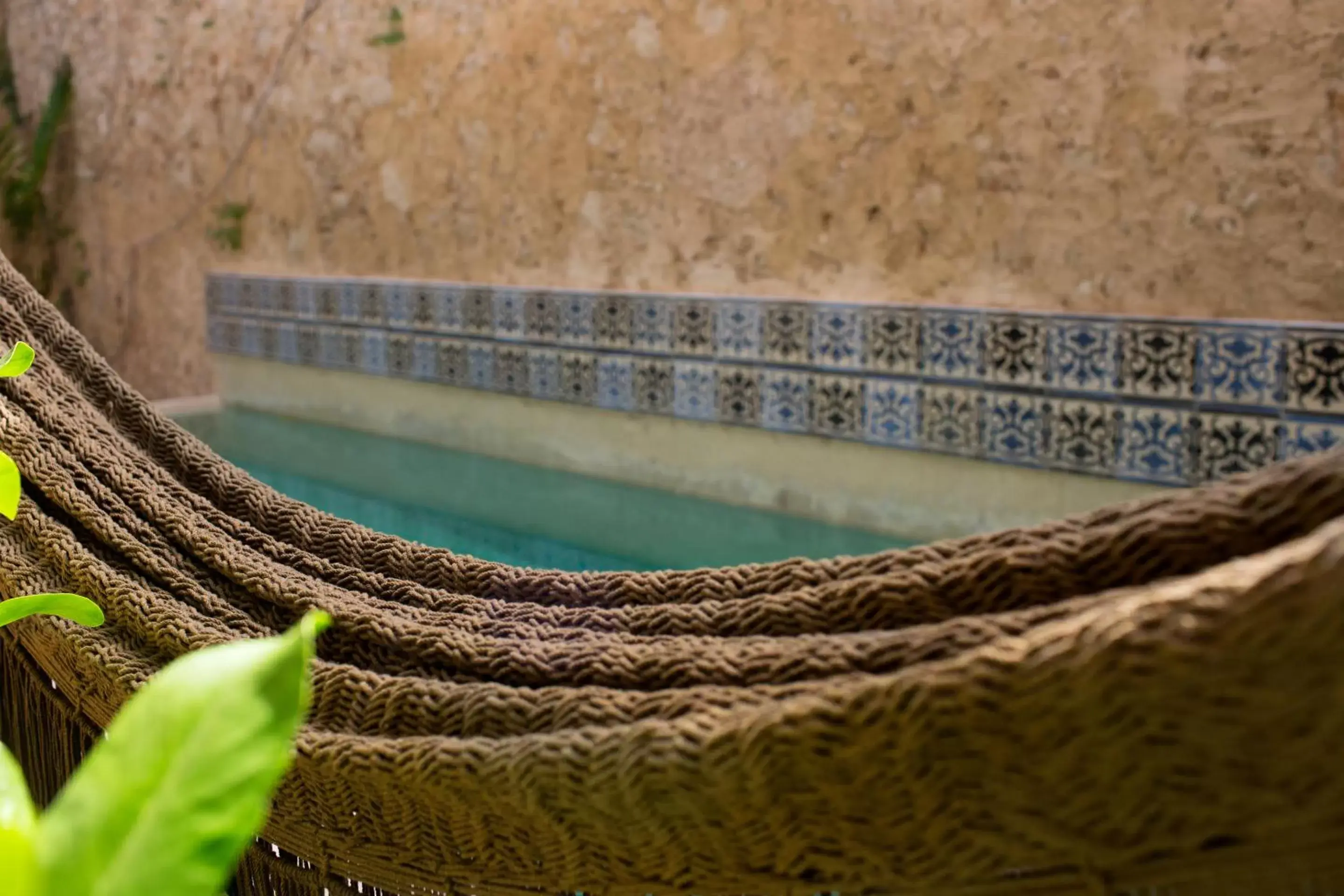 Swimming Pool in Ya'ax Hotel Boutique