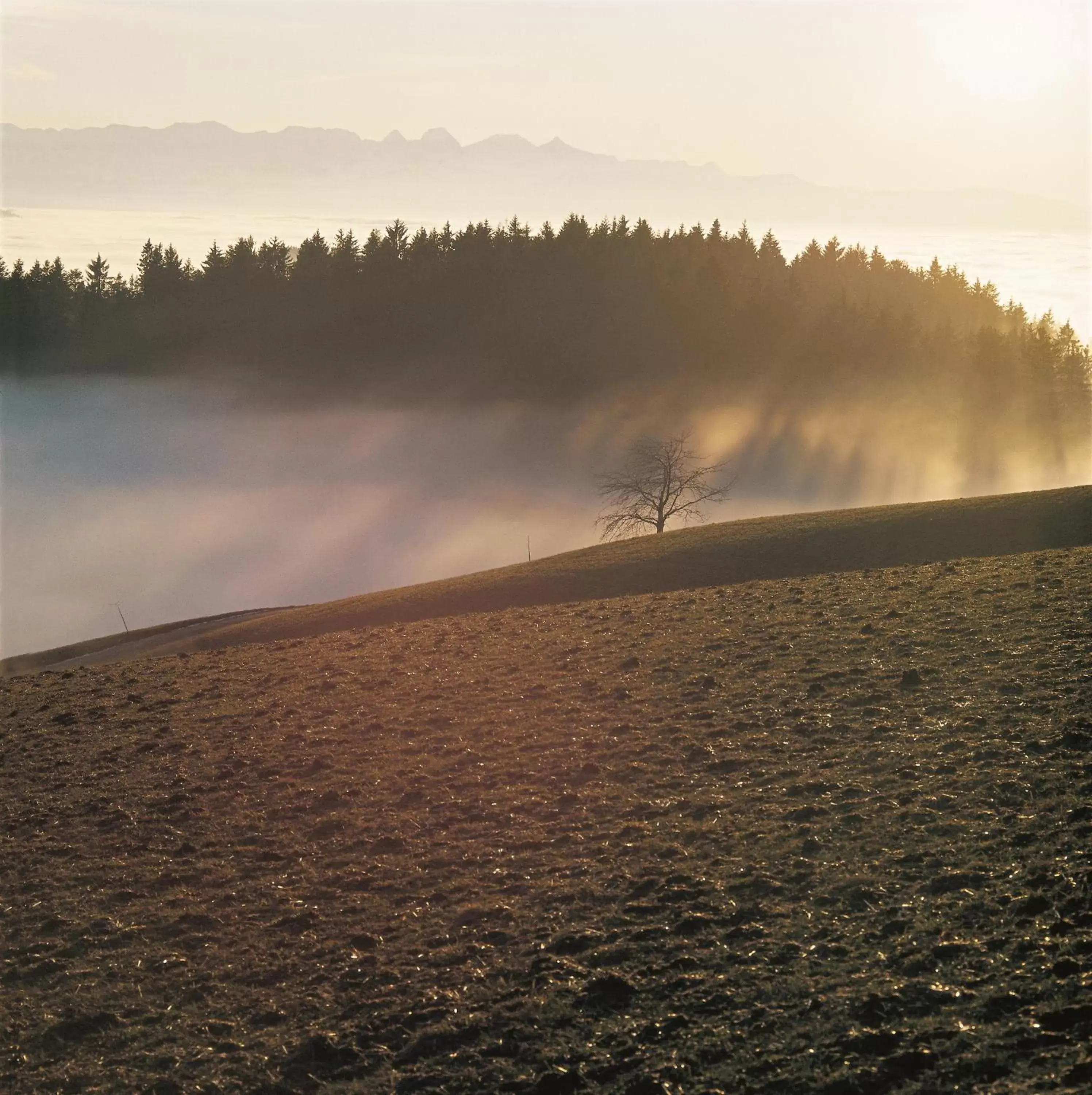 Natural landscape, Beach in BnB SchlafSchloss