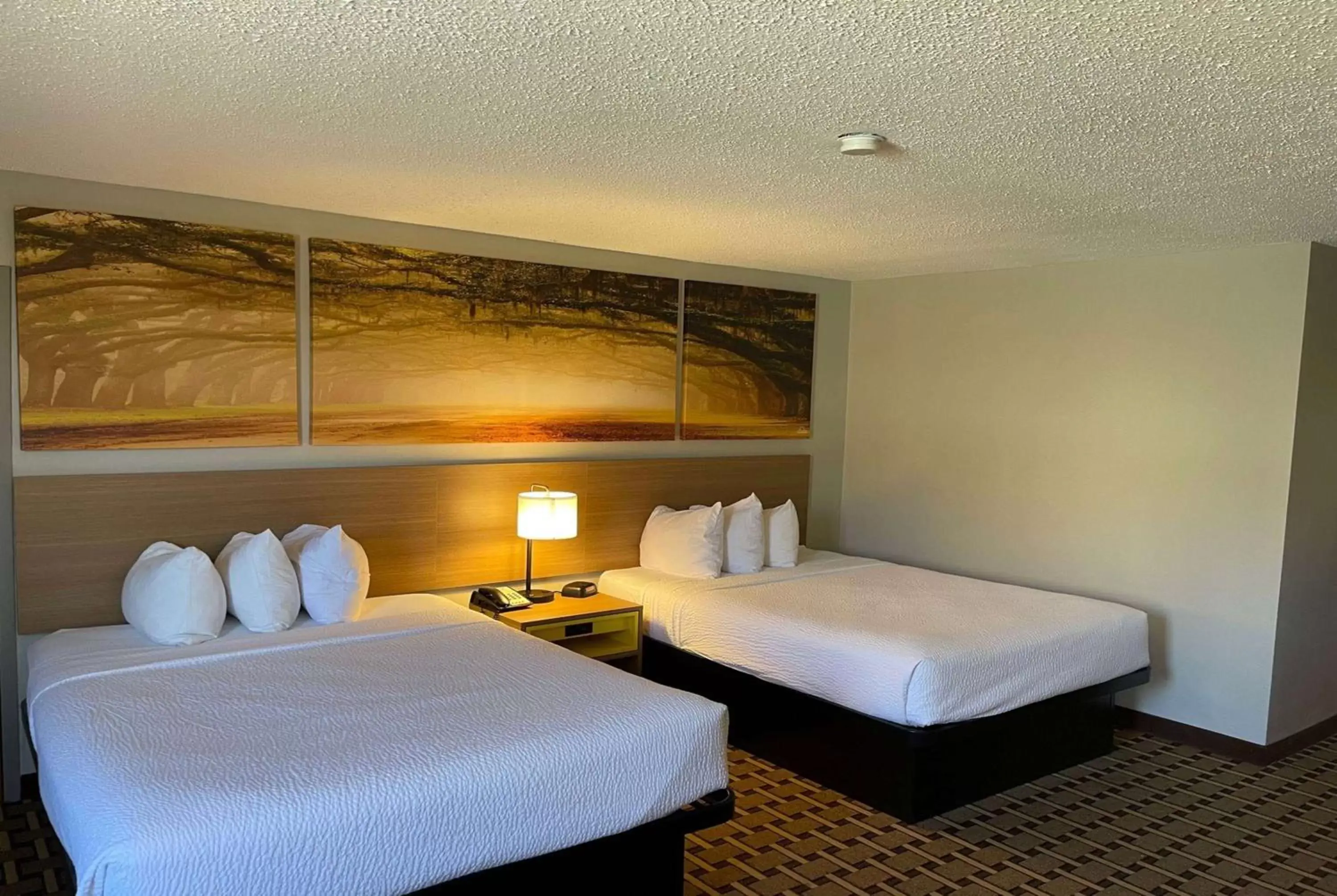 Photo of the whole room, Bed in Days Inn by Wyndham Fayetteville-South/I-95 Exit 49