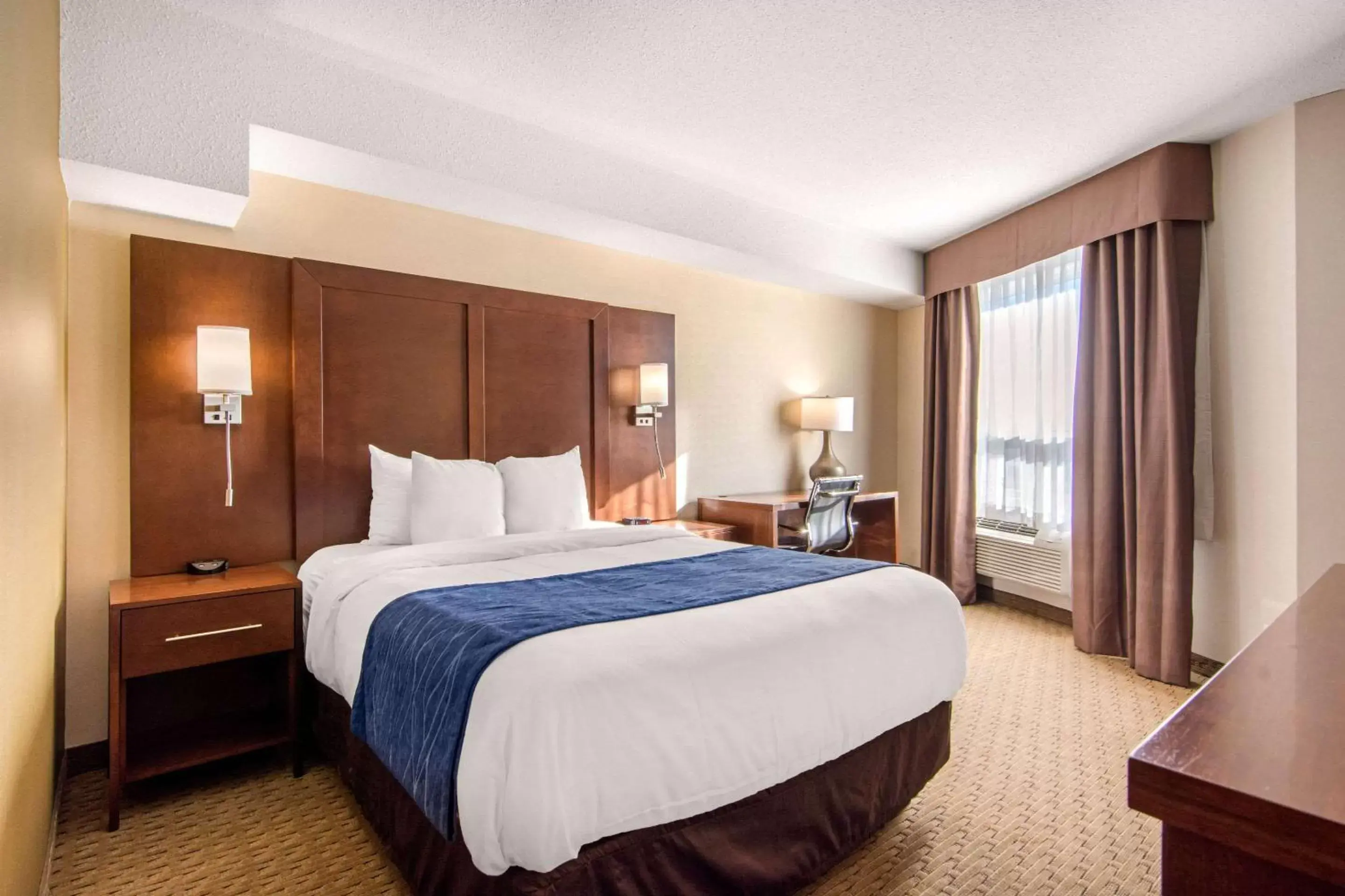 Photo of the whole room, Bed in Comfort Inn & Suites Medicine Hat