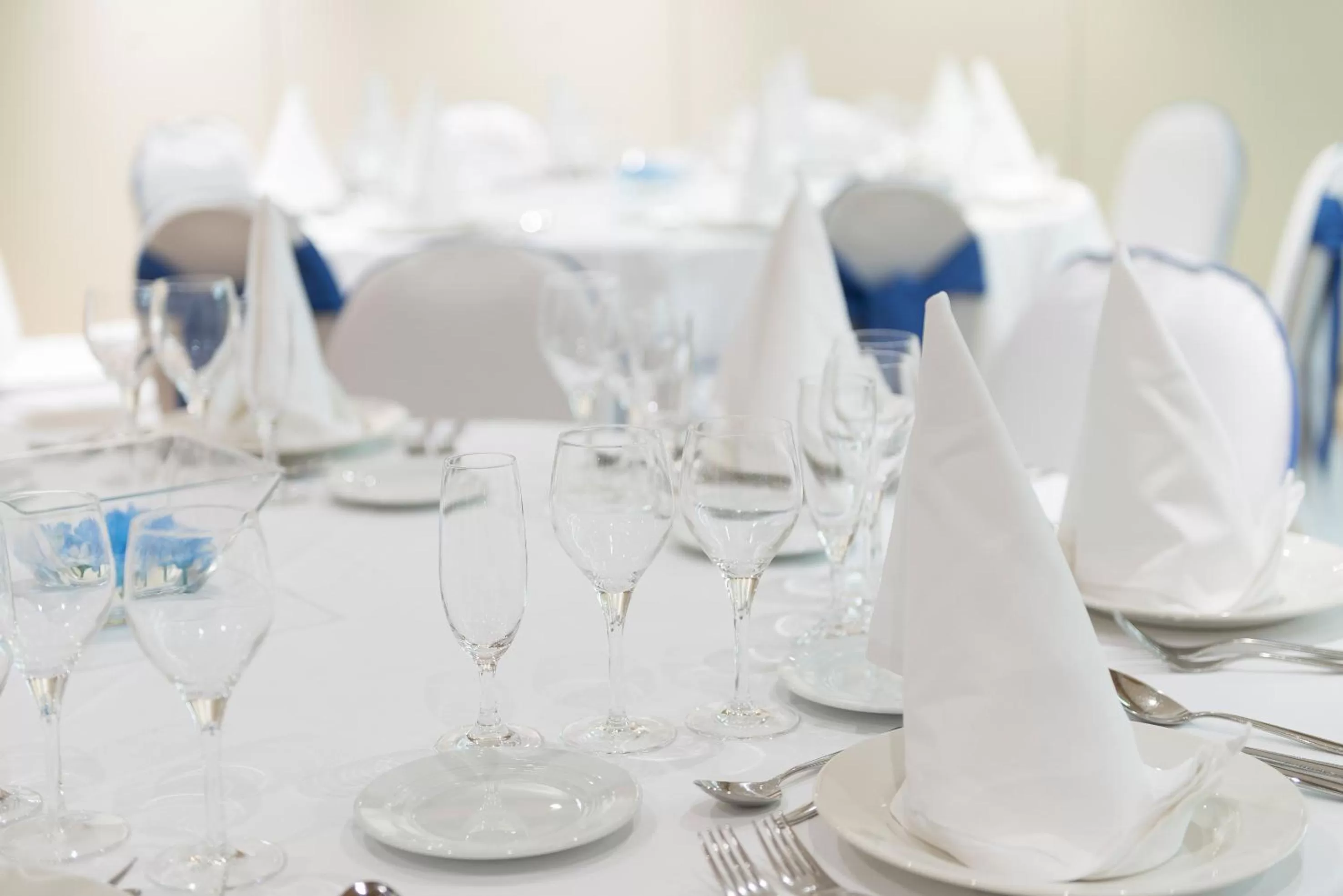 Meeting/conference room in Hotel Vielha Val d'Aran, Affiliated by Meliá