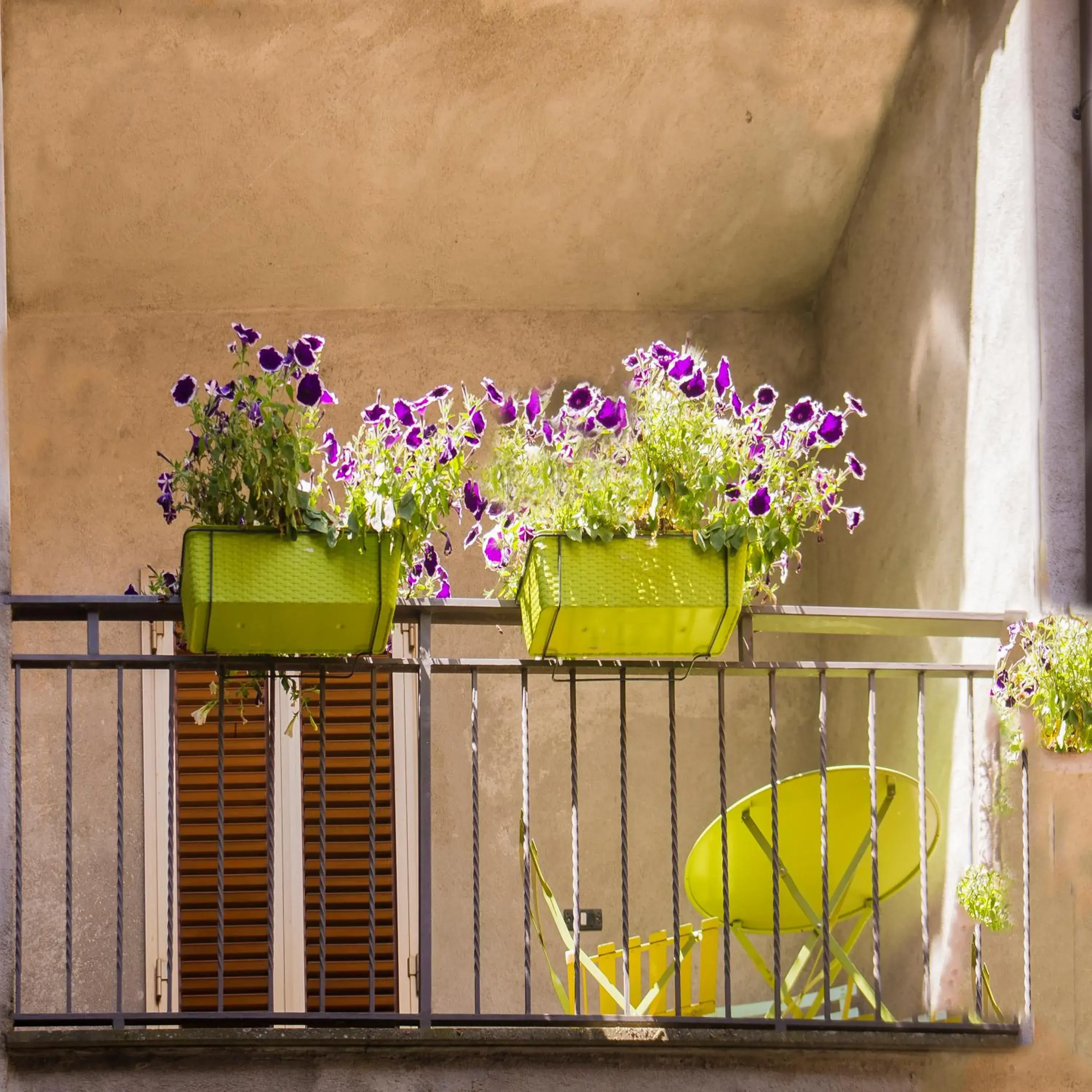 Balcony/Terrace in Hotel Filippeschi