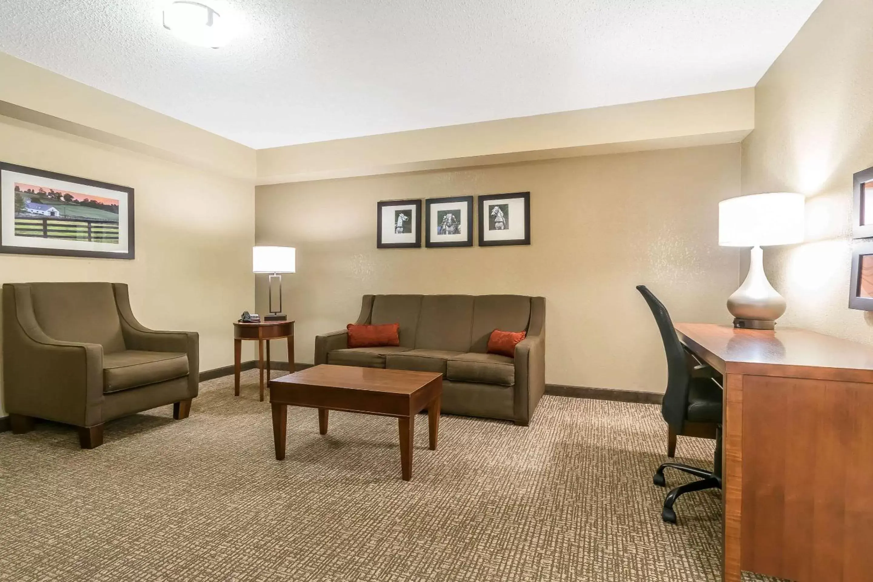 Photo of the whole room, Seating Area in Comfort Inn & Suites Lexington