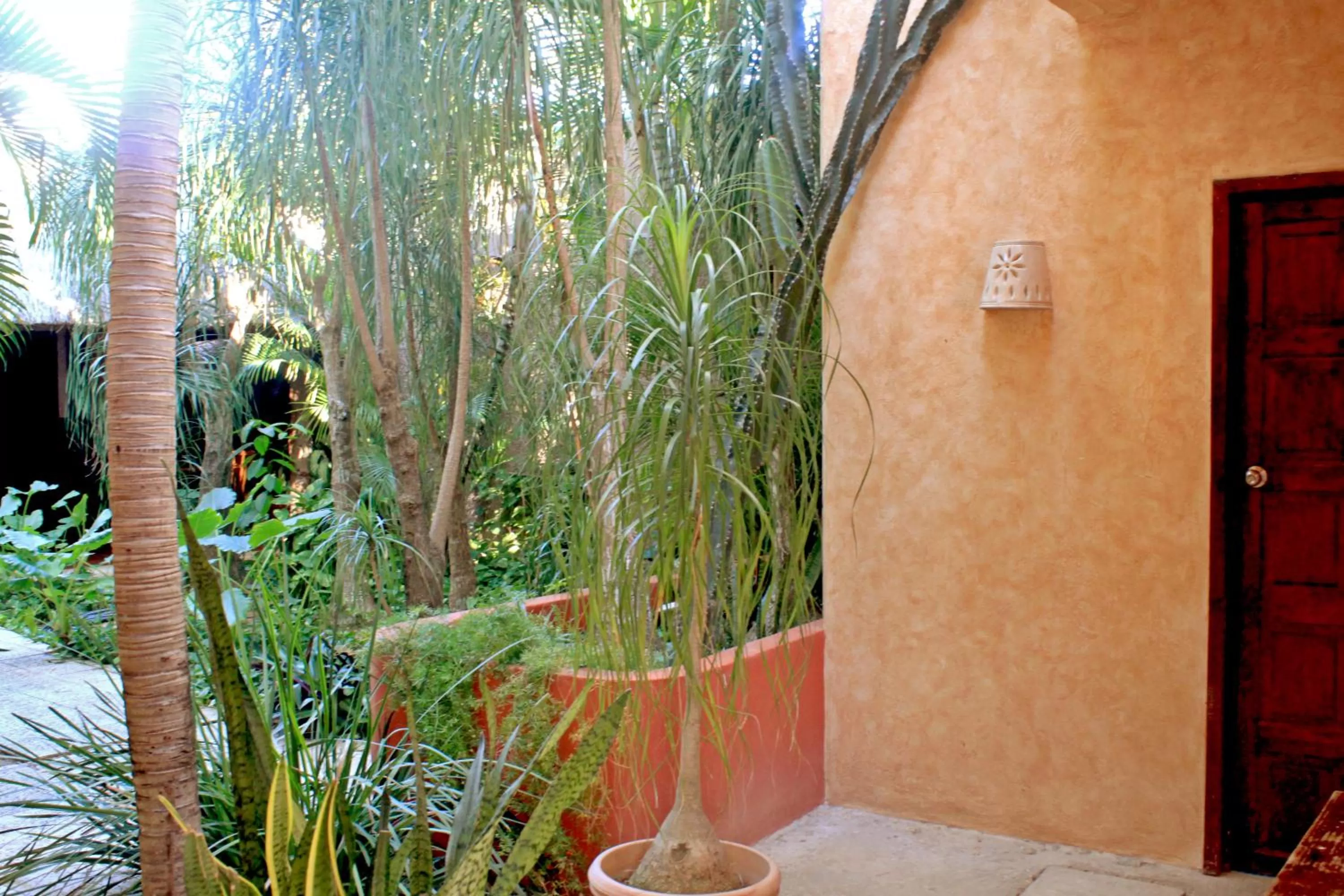Garden in Hotel Barrio Latino