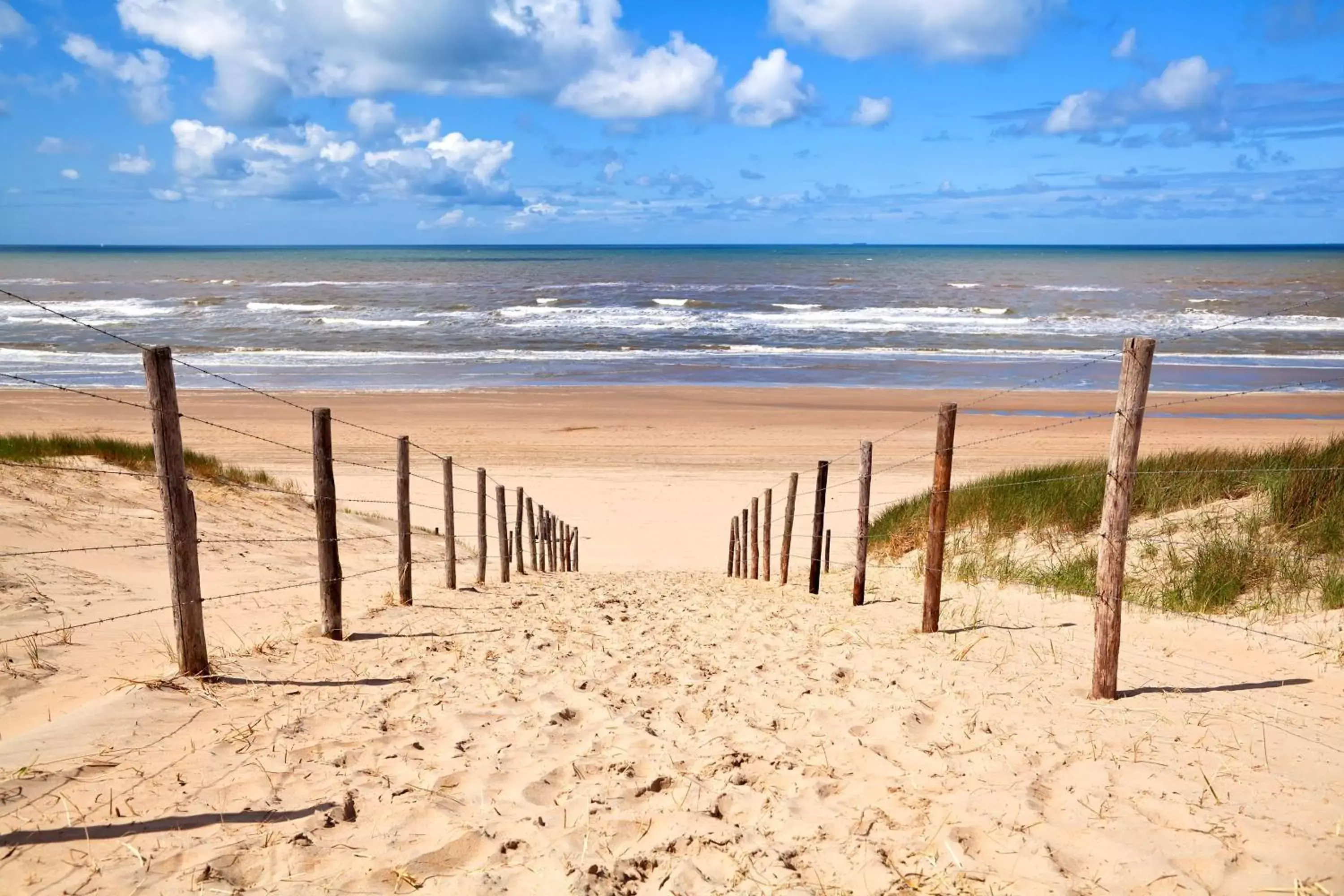 Day, Beach in Boutique Lodge Zandvoort