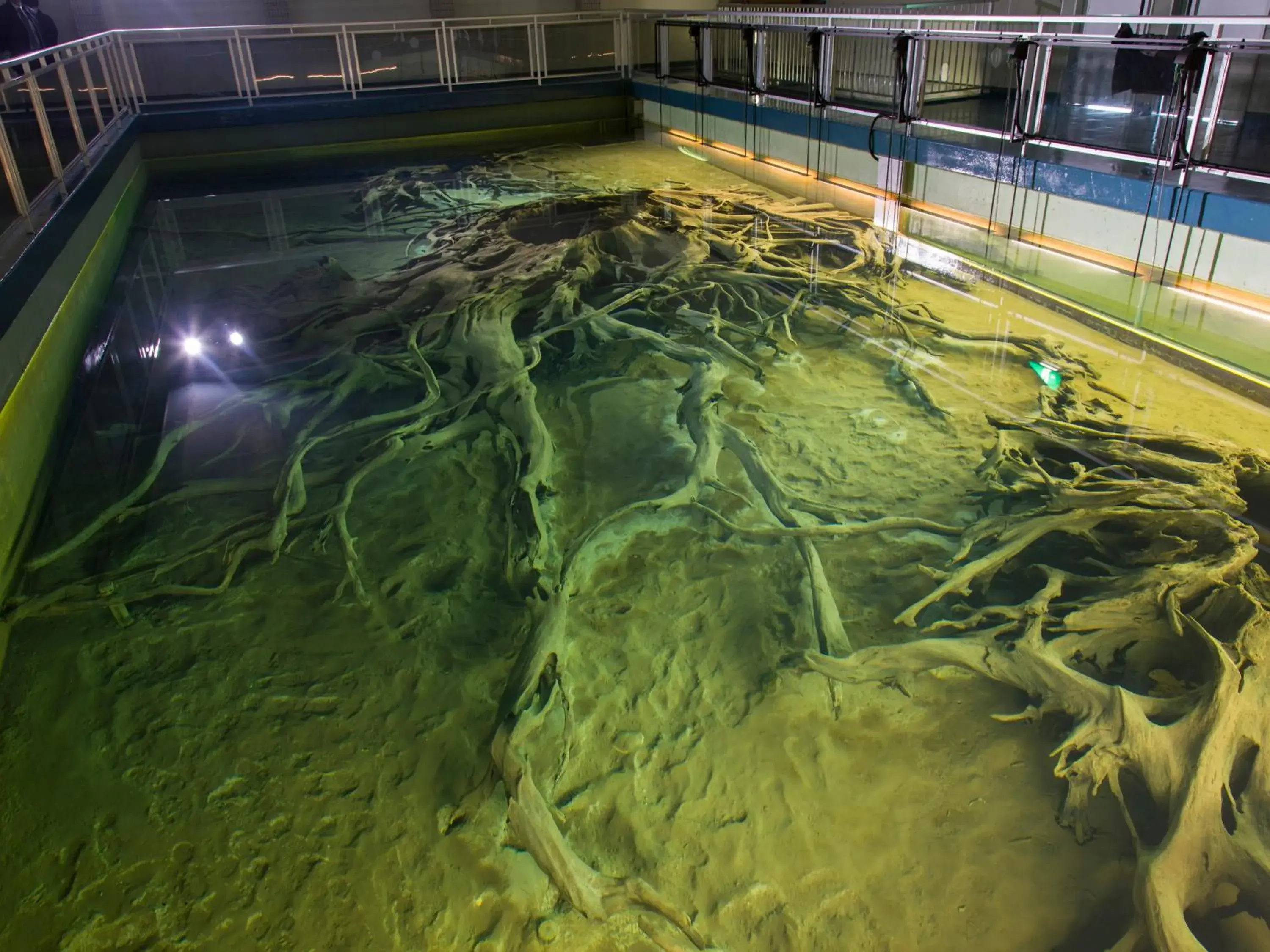 Swimming Pool in Apa Hotel Uozu-Ekimae