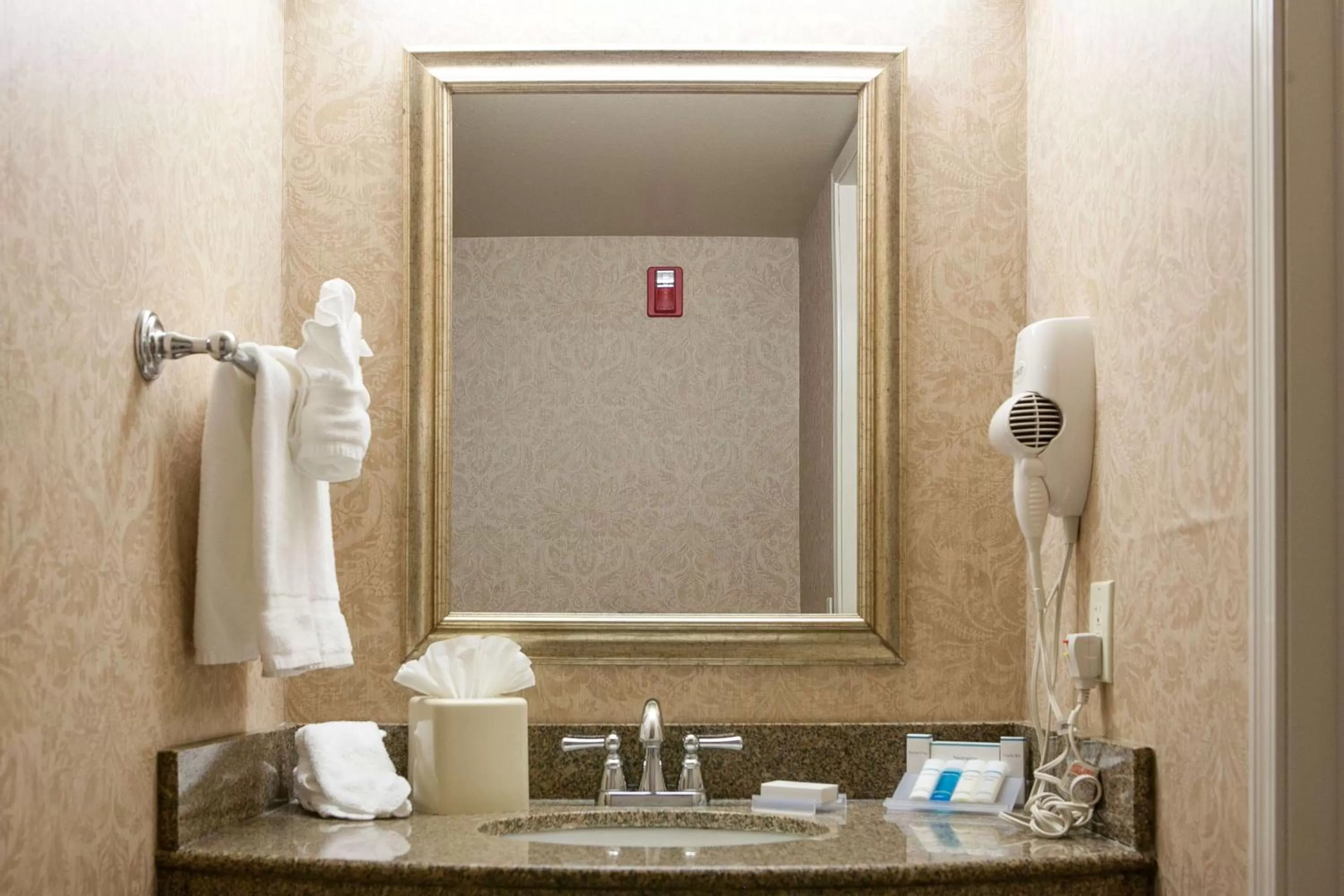 Bathroom in Hilton Garden Inn Boise / Eagle